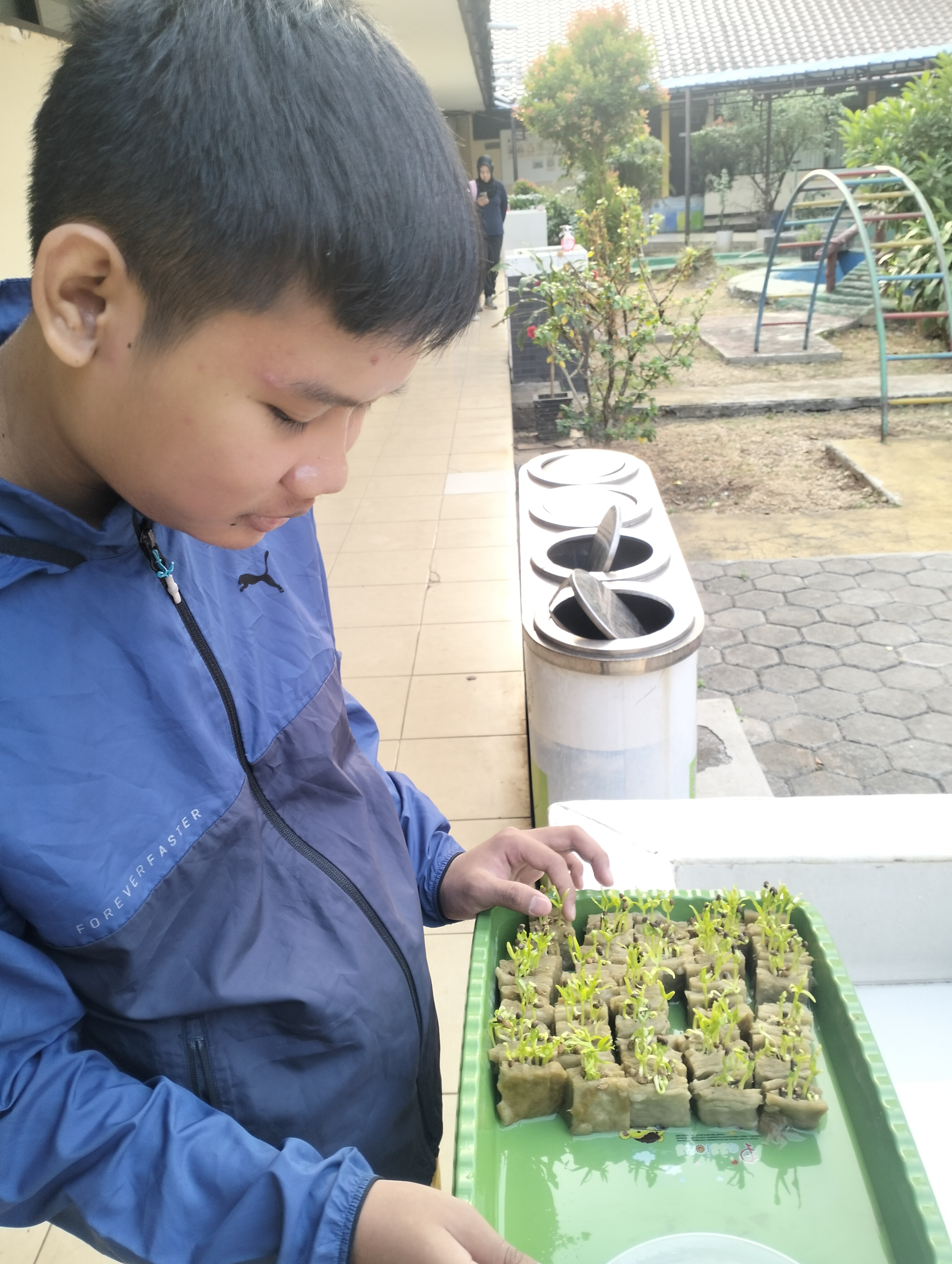 Lahan Urban Farming SLB A Pembina Tingkat Nasional - Gambar 100
