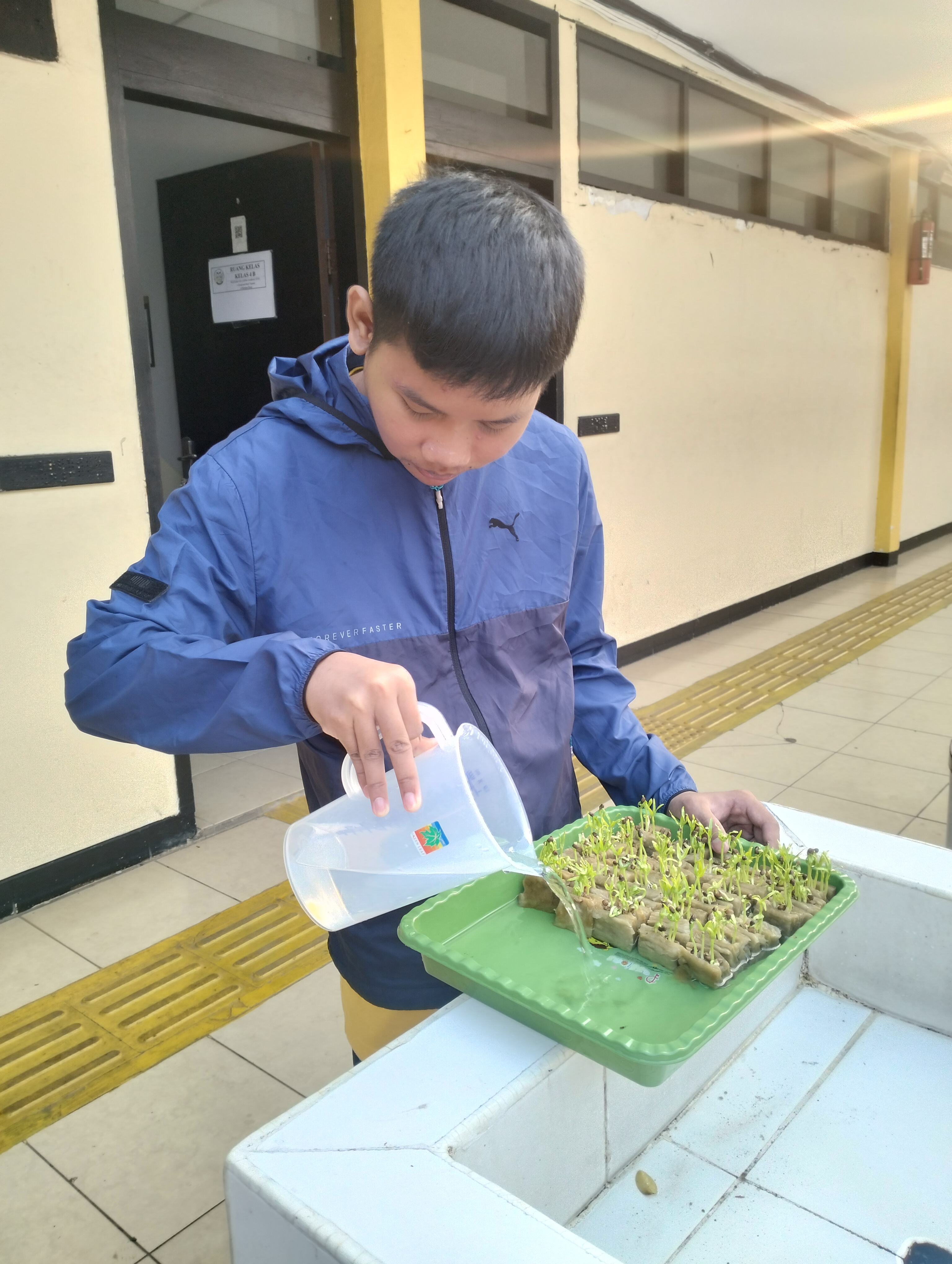 Lahan Urban Farming SLB A Pembina Tingkat Nasional - Gambar 97
