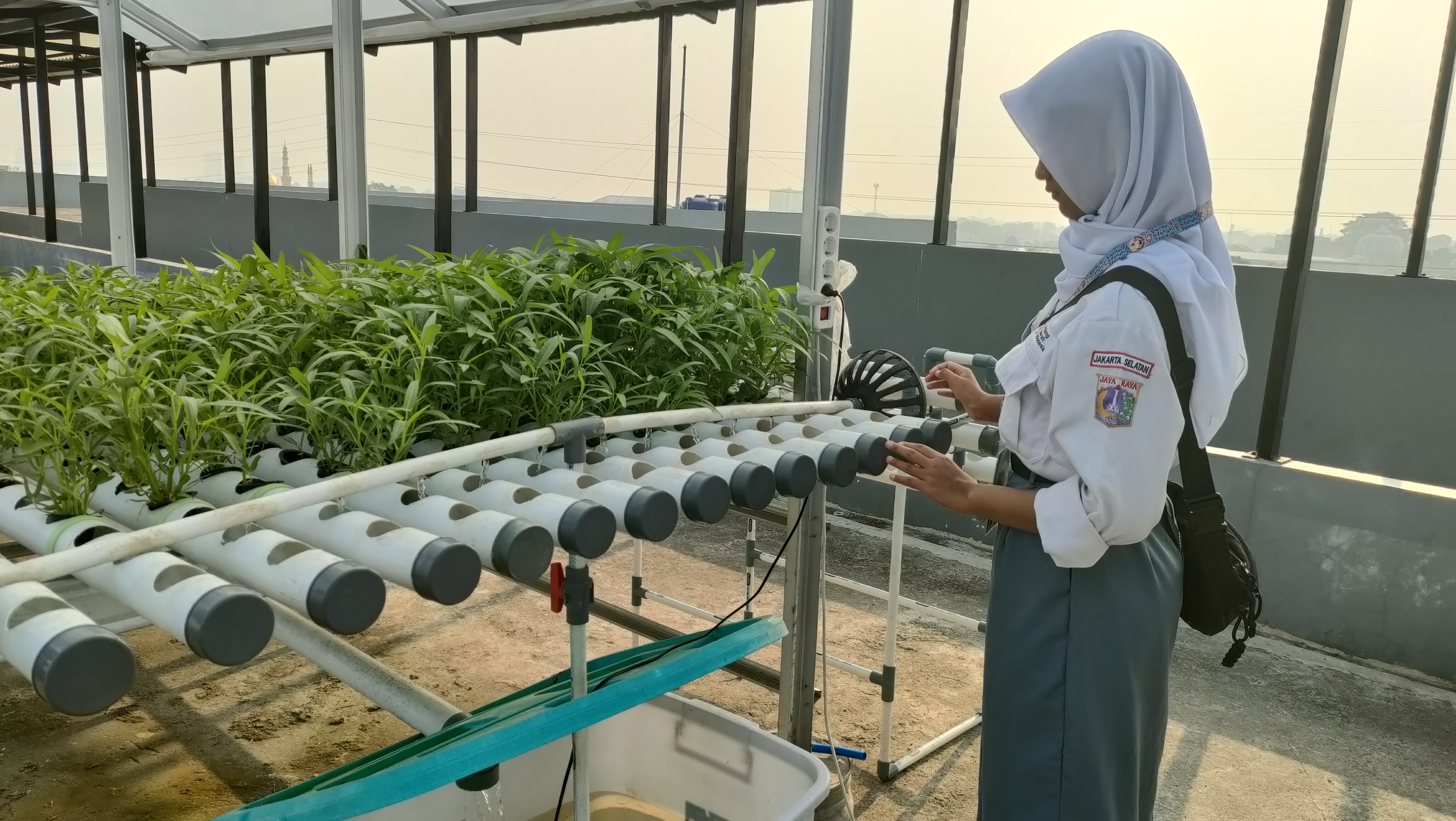 KEBUN SMKN 74 JAGAKARSA JAKARTA SELATAN - Gambar 256