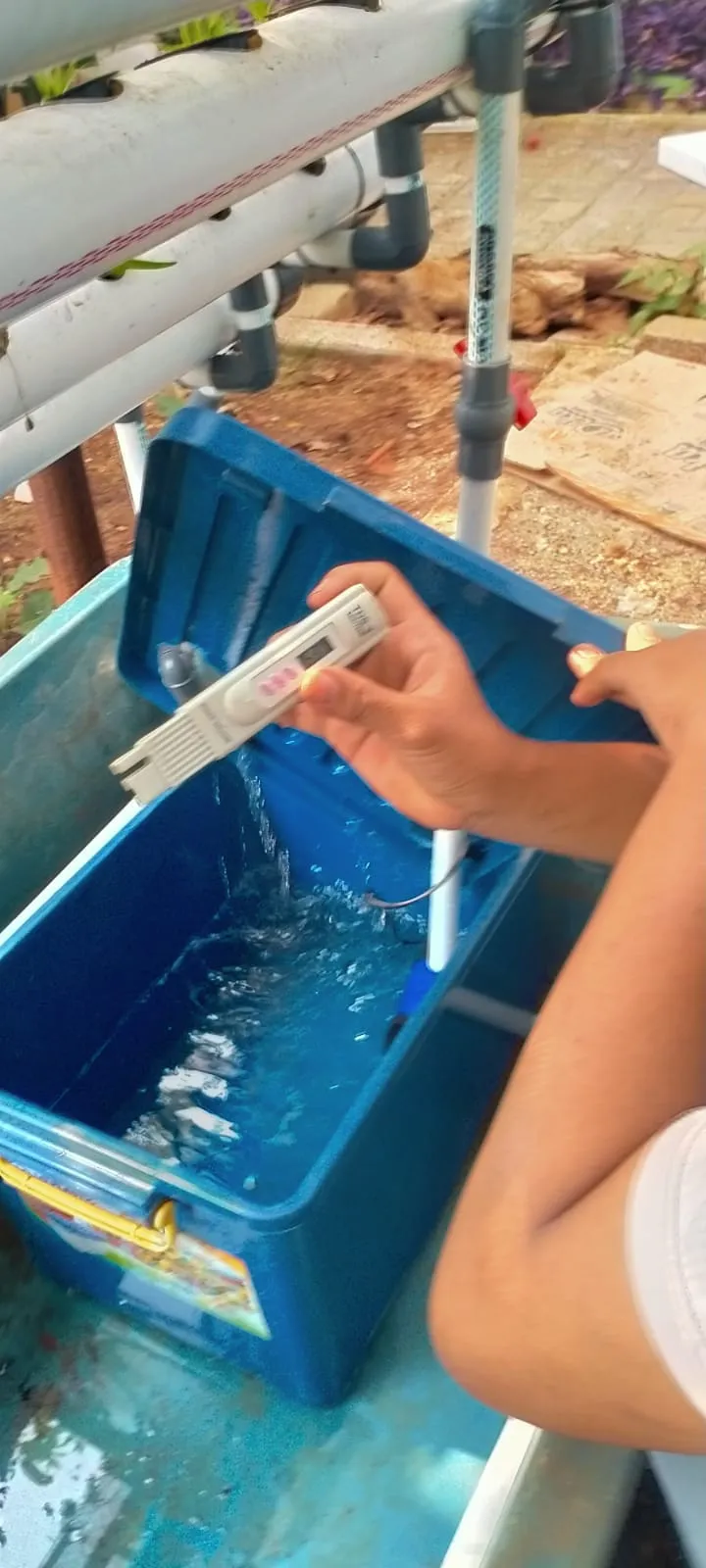 Lahan Urban Farming SLBN 01 Lebak Bulus - Gambar 58