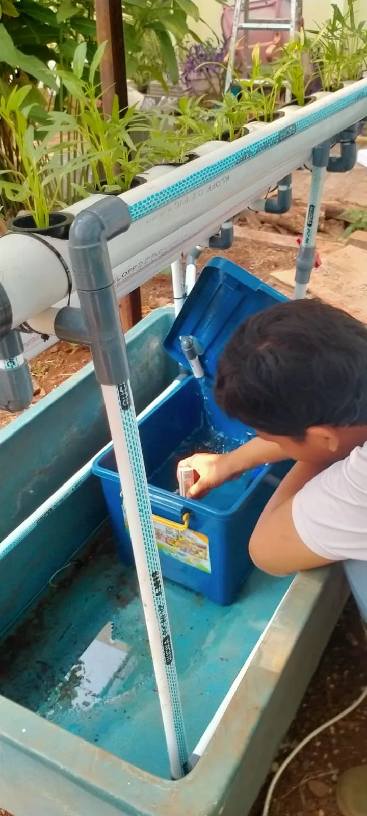 Lahan Urban Farming SLBN 01 Lebak Bulus - Gambar 59