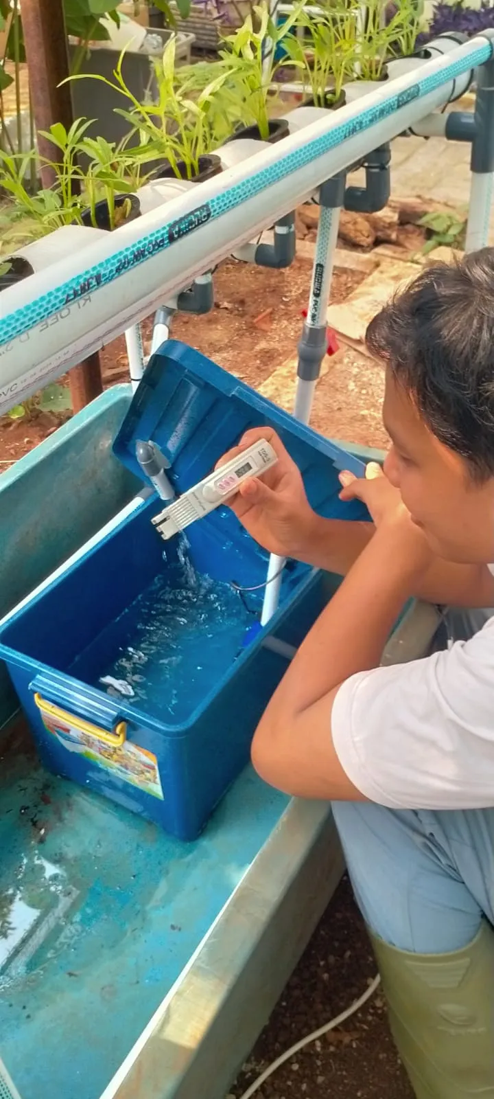 Lahan Urban Farming SLBN 01 Lebak Bulus - Gambar 57