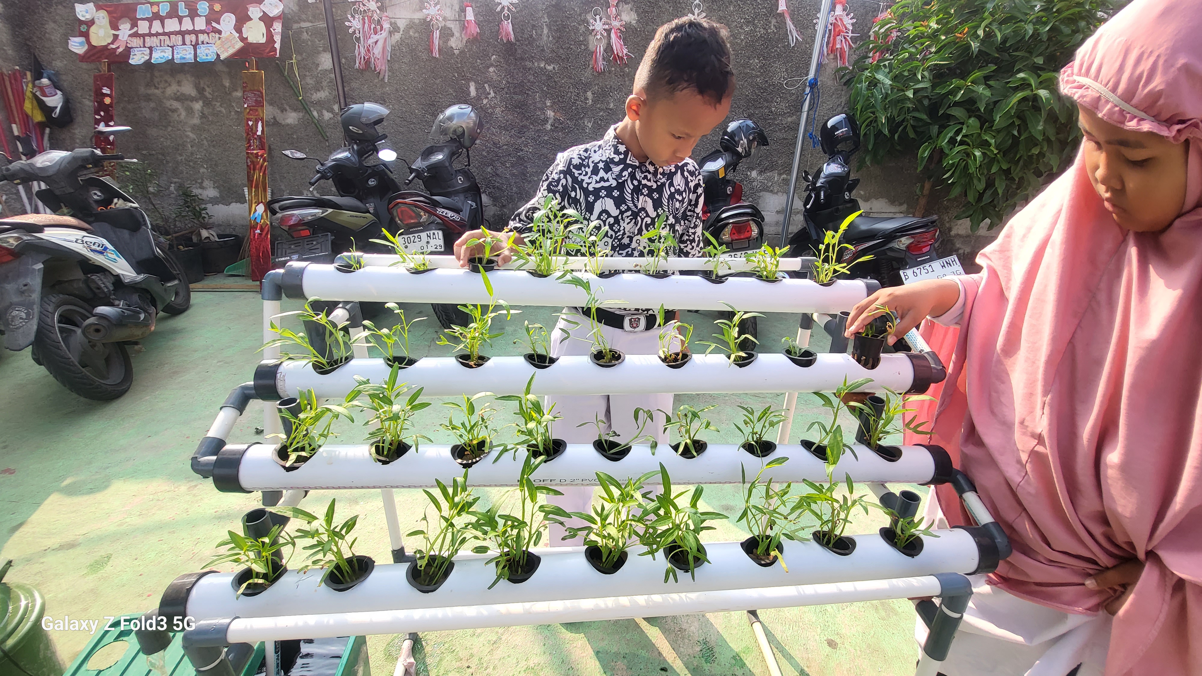 Lahan Urban Farming SDN Bintaro 09 - Gambar 140