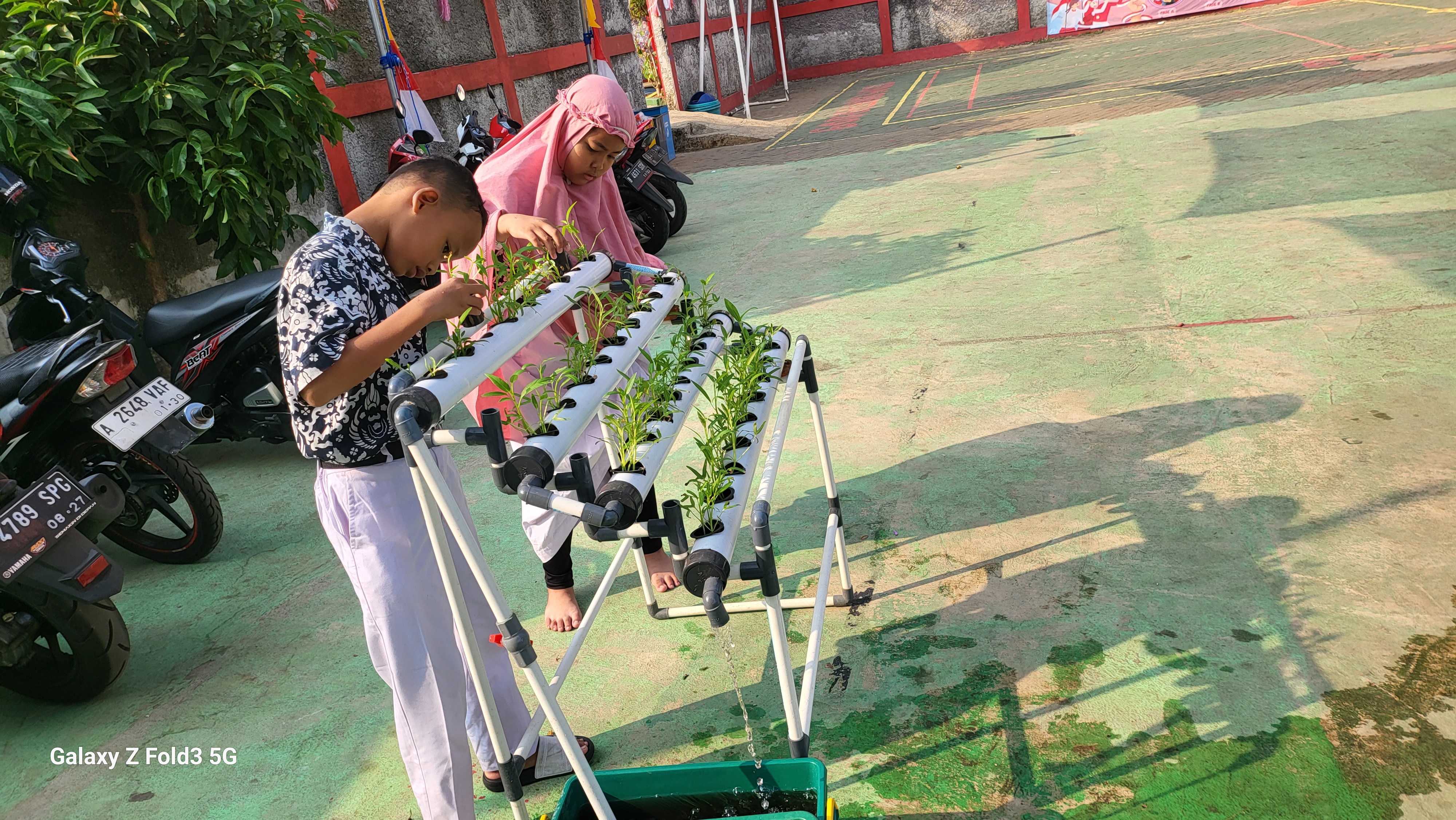 Lahan Urban Farming SDN Bintaro 09 - Gambar 142