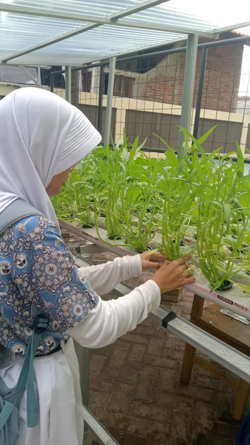 Lahan Urban Farming SDN Lenteng Agung 07 Jakarta - Gambar 85