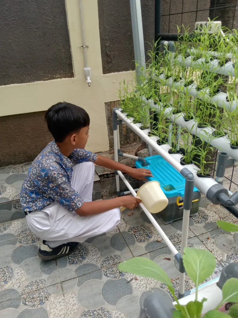 Lahan Urban Farming SDN Lenteng Agung 07 Jakarta - Gambar 84