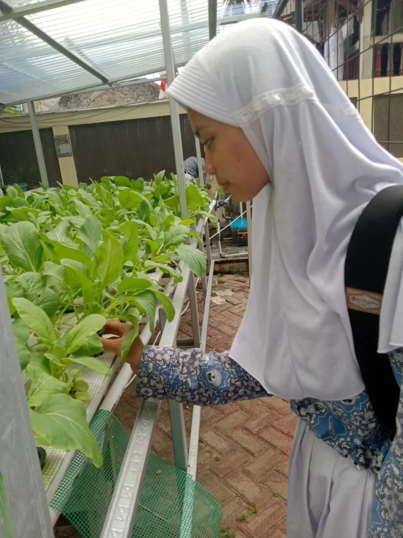 Lahan Urban Farming SDN Lenteng Agung 07 Jakarta - Gambar 82