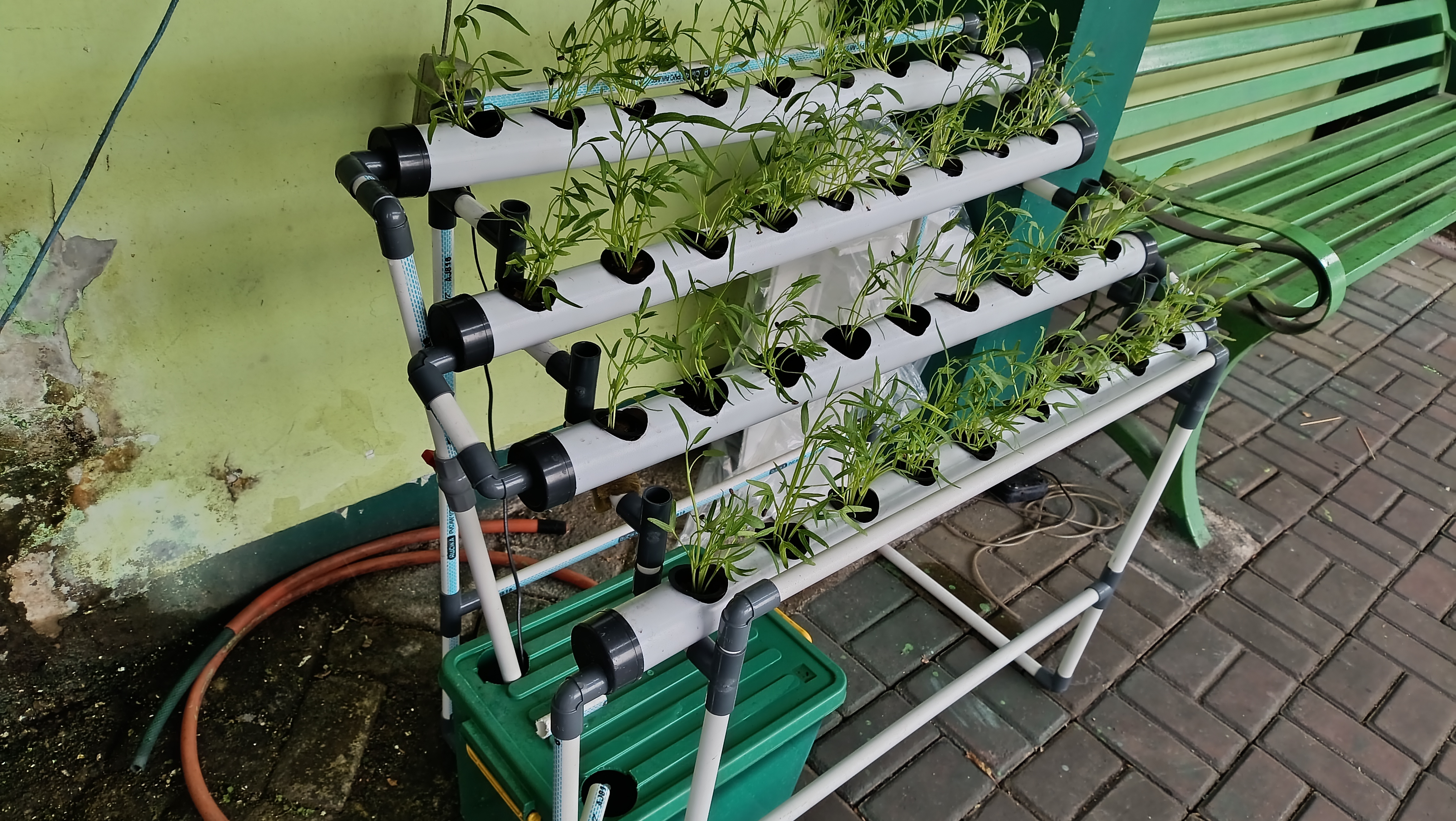 Lahan Urban Farming SMAN 63 Jakarta - Gambar 68