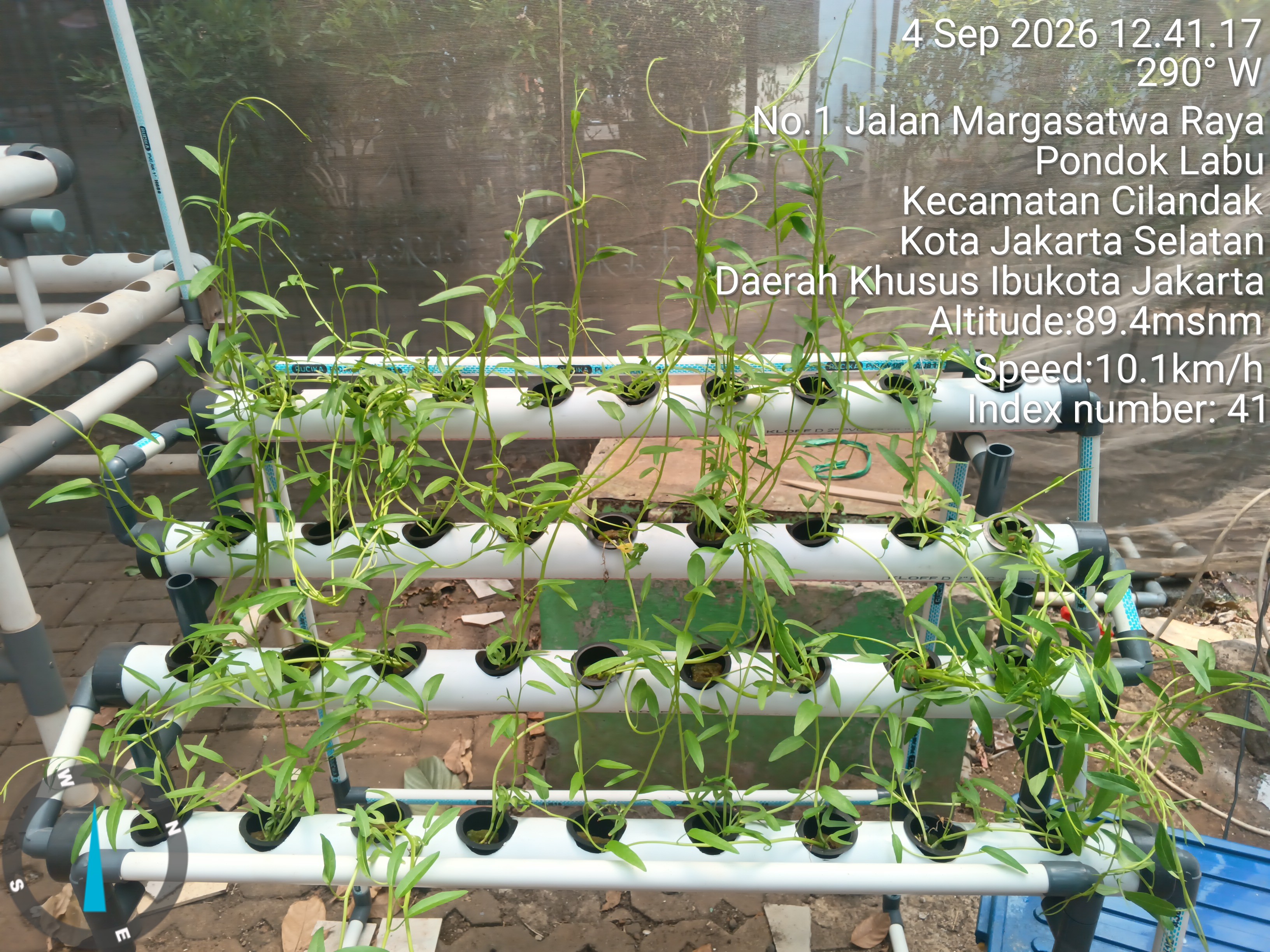 Lahan Urban Farming SMAN 34 Jakarta - Gambar 63