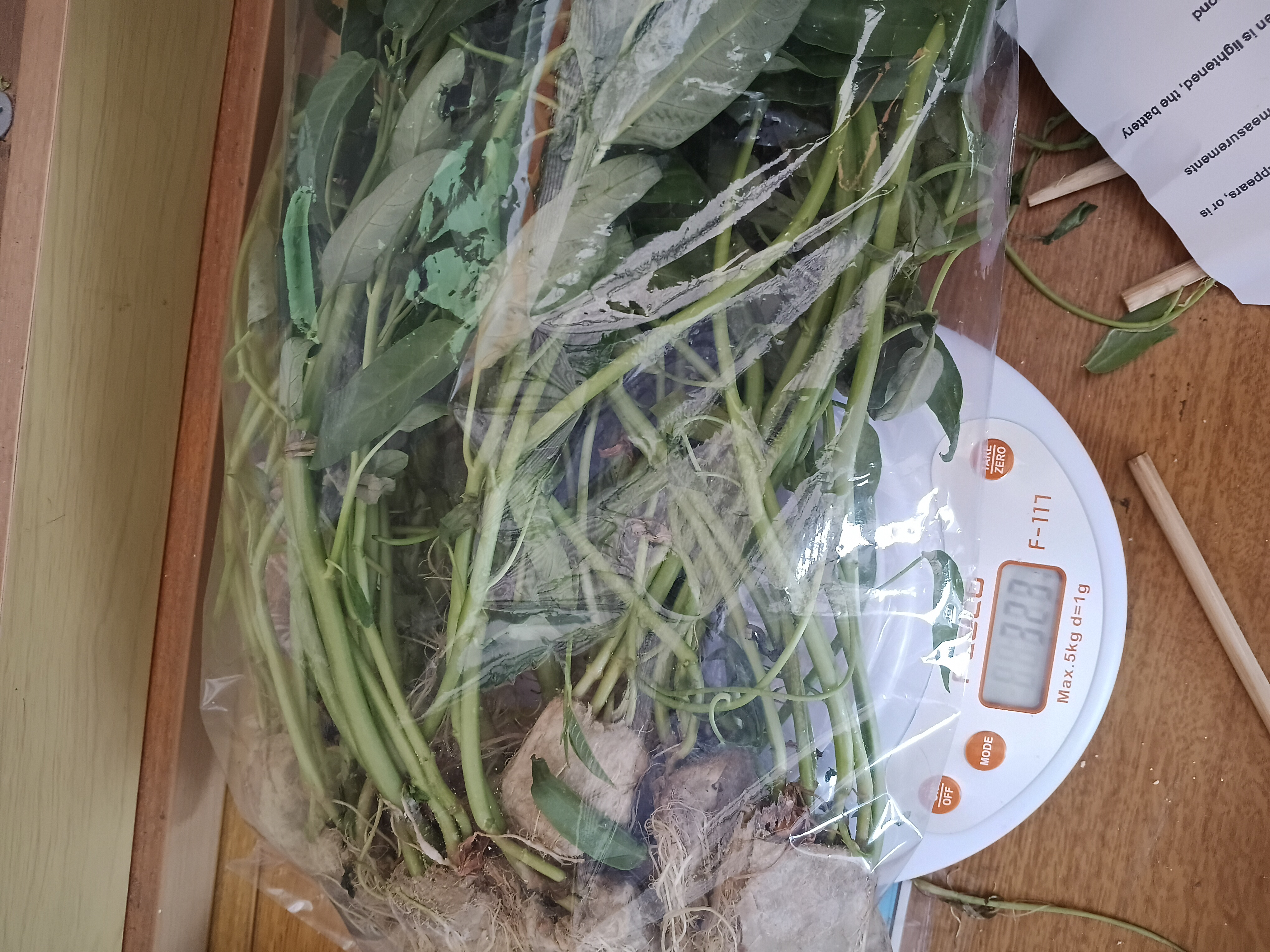 Lahan Urban Farming SMKN 41 Jakarta - Gambar 59