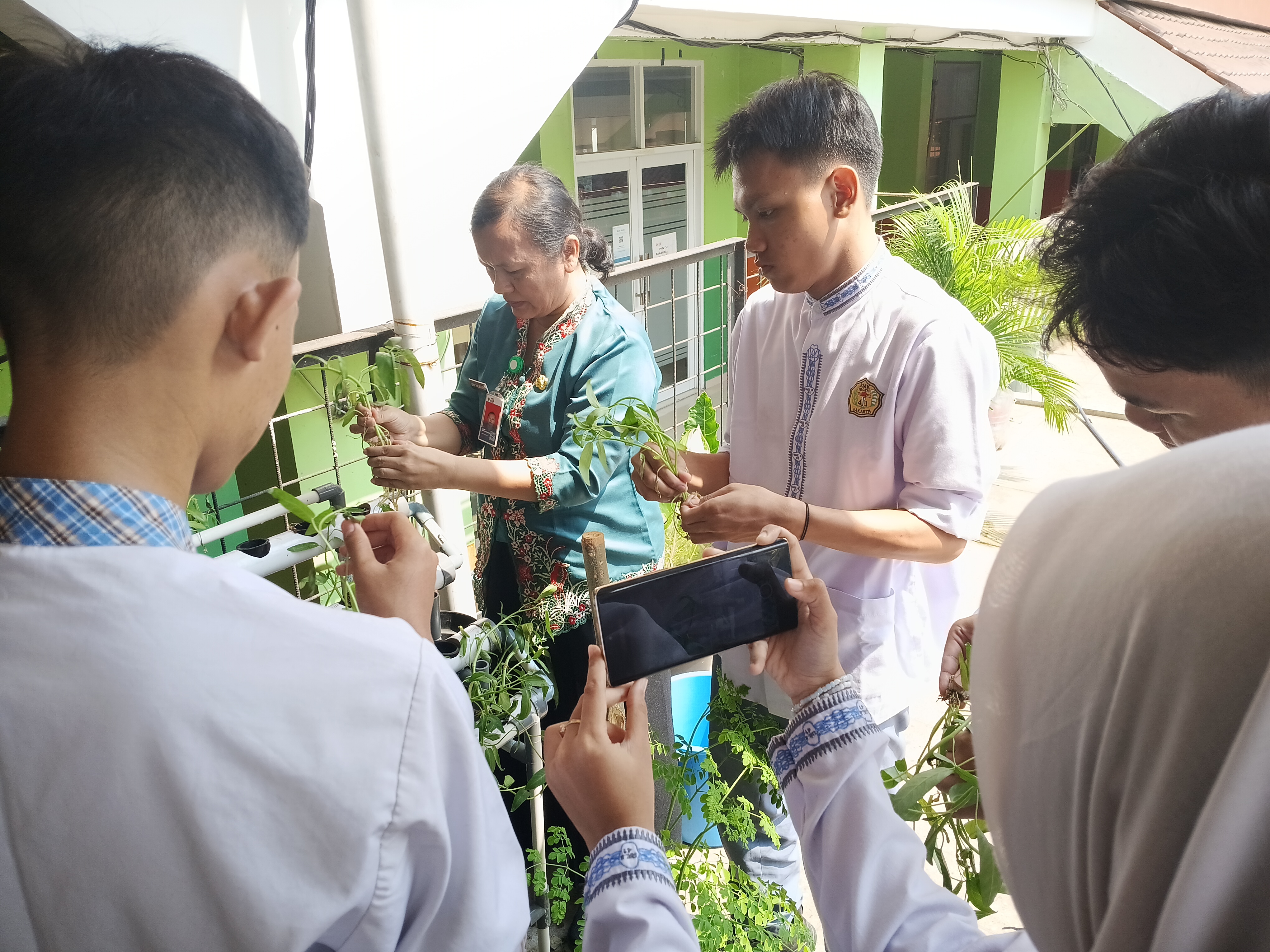 Lahan Urban Farming SMKN 41 Jakarta - Gambar 63