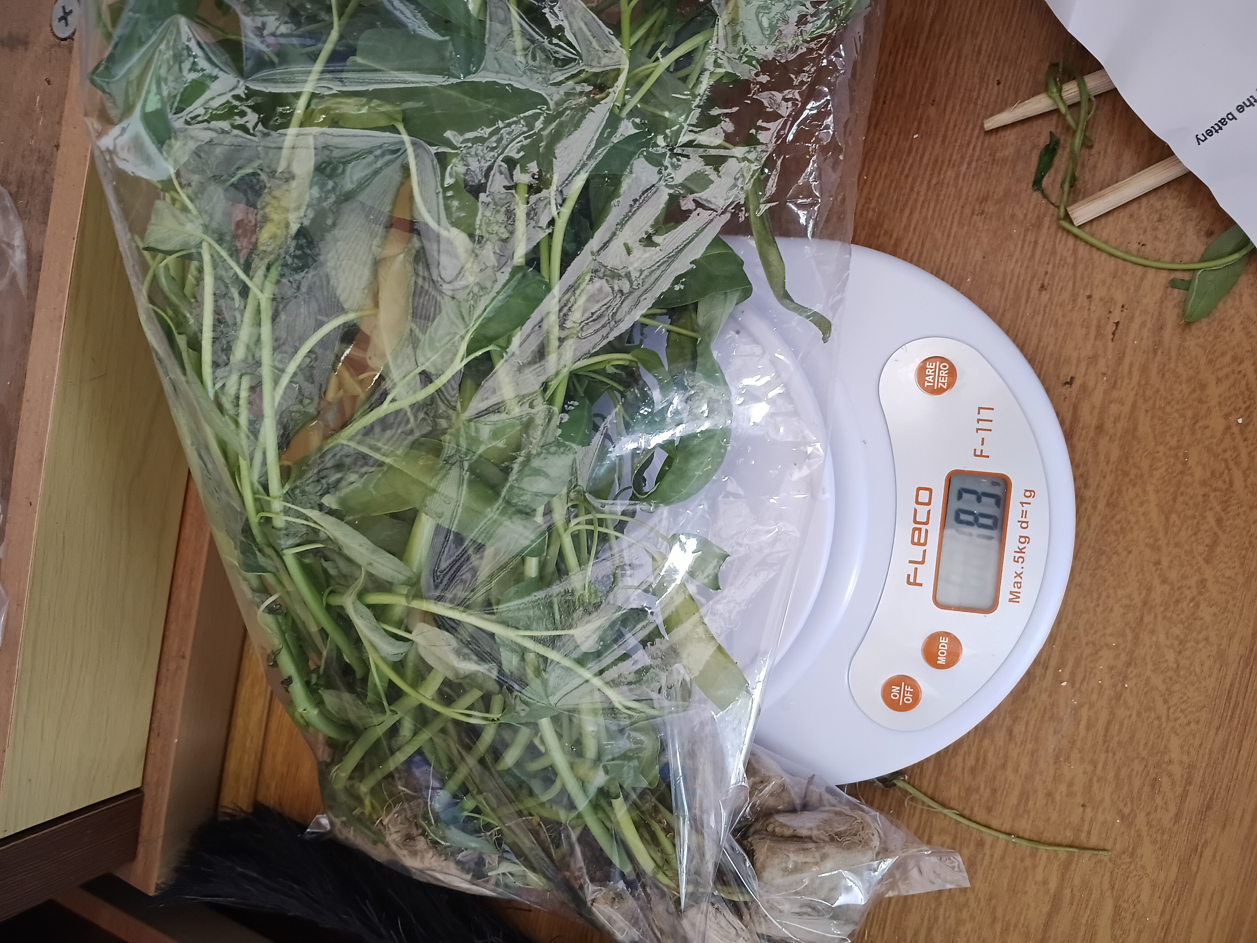 Lahan Urban Farming SMKN 41 Jakarta - Gambar 60