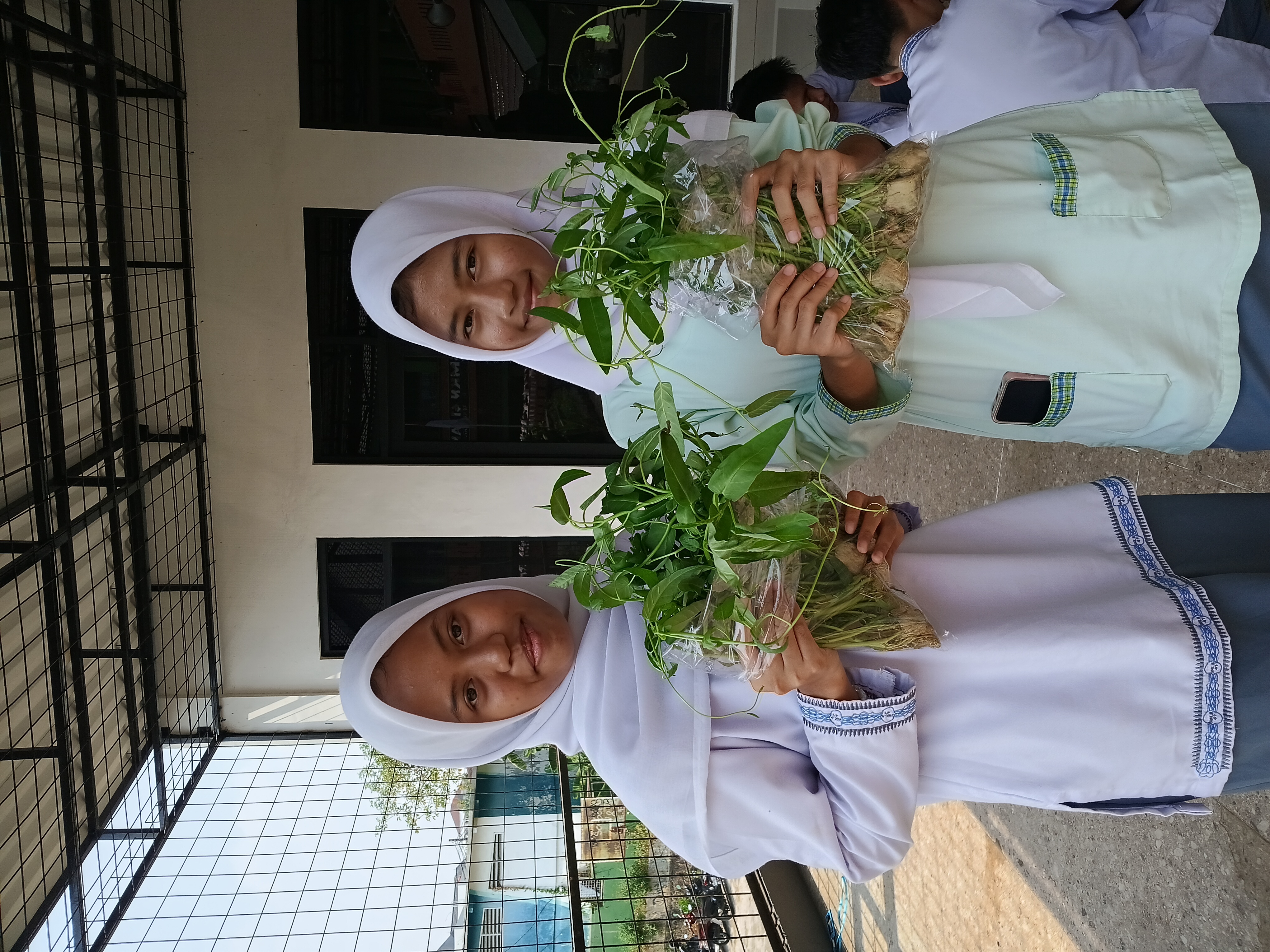 Lahan Urban Farming SMKN 41 Jakarta - Gambar 58