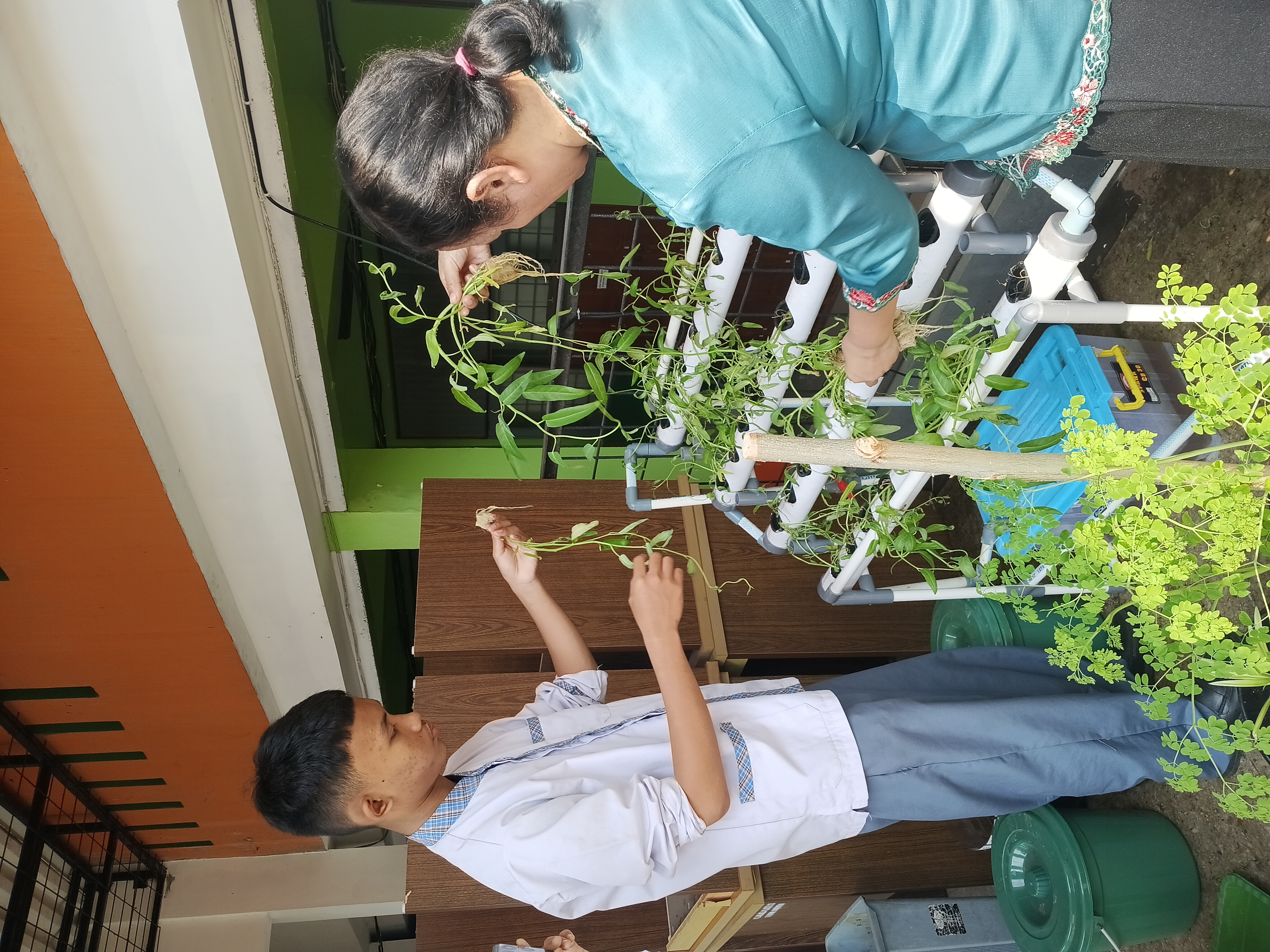 Lahan Urban Farming SMKN 41 Jakarta - Gambar 62