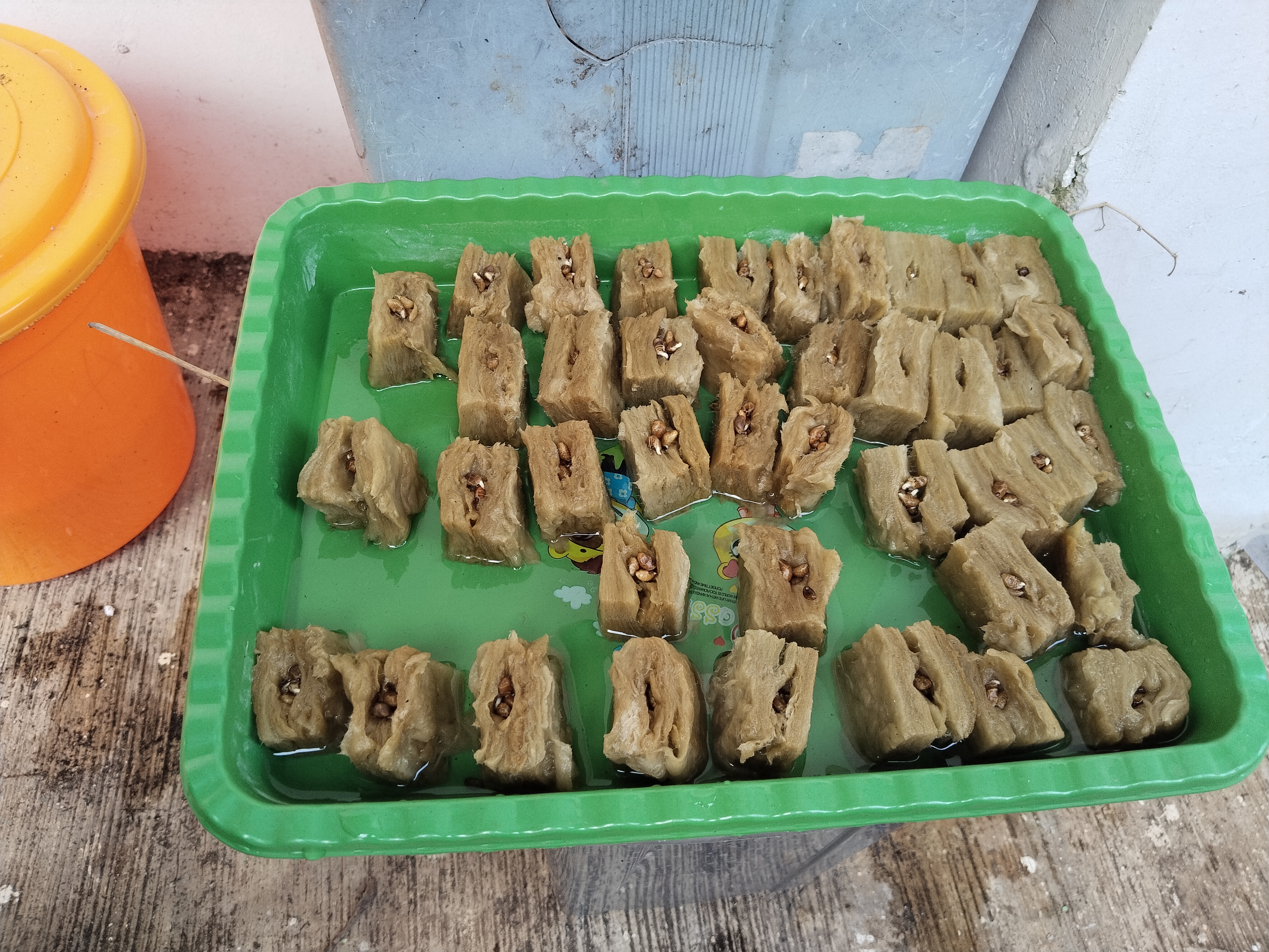 Lahan Urban Farming SMKN 62 Jakarta - Gambar 47