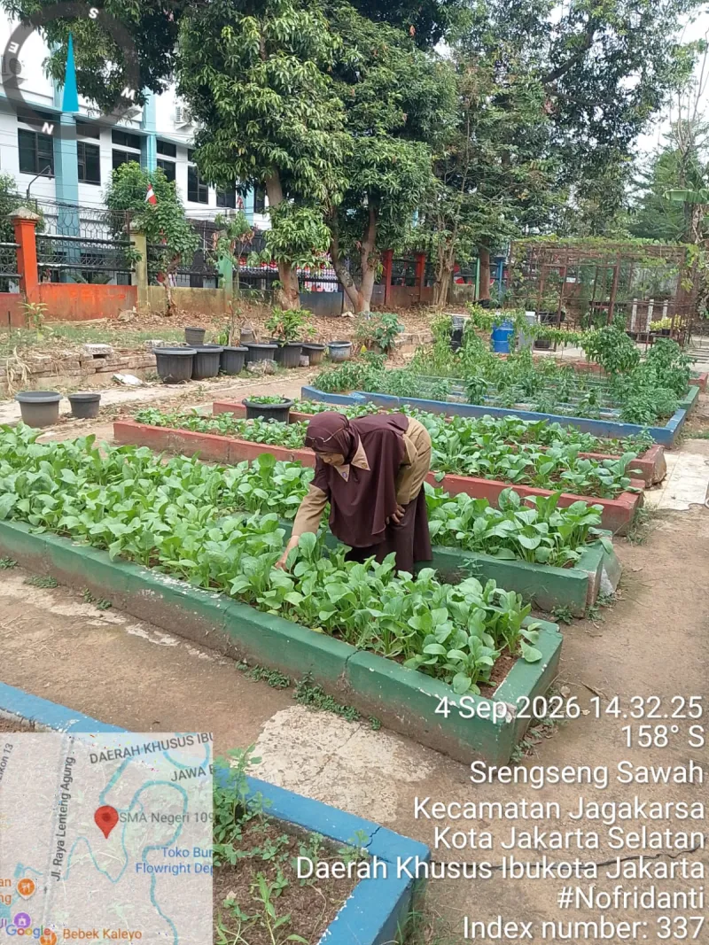 Lahan Urban Farming SMAN 109 Jakarta - Gambar 192