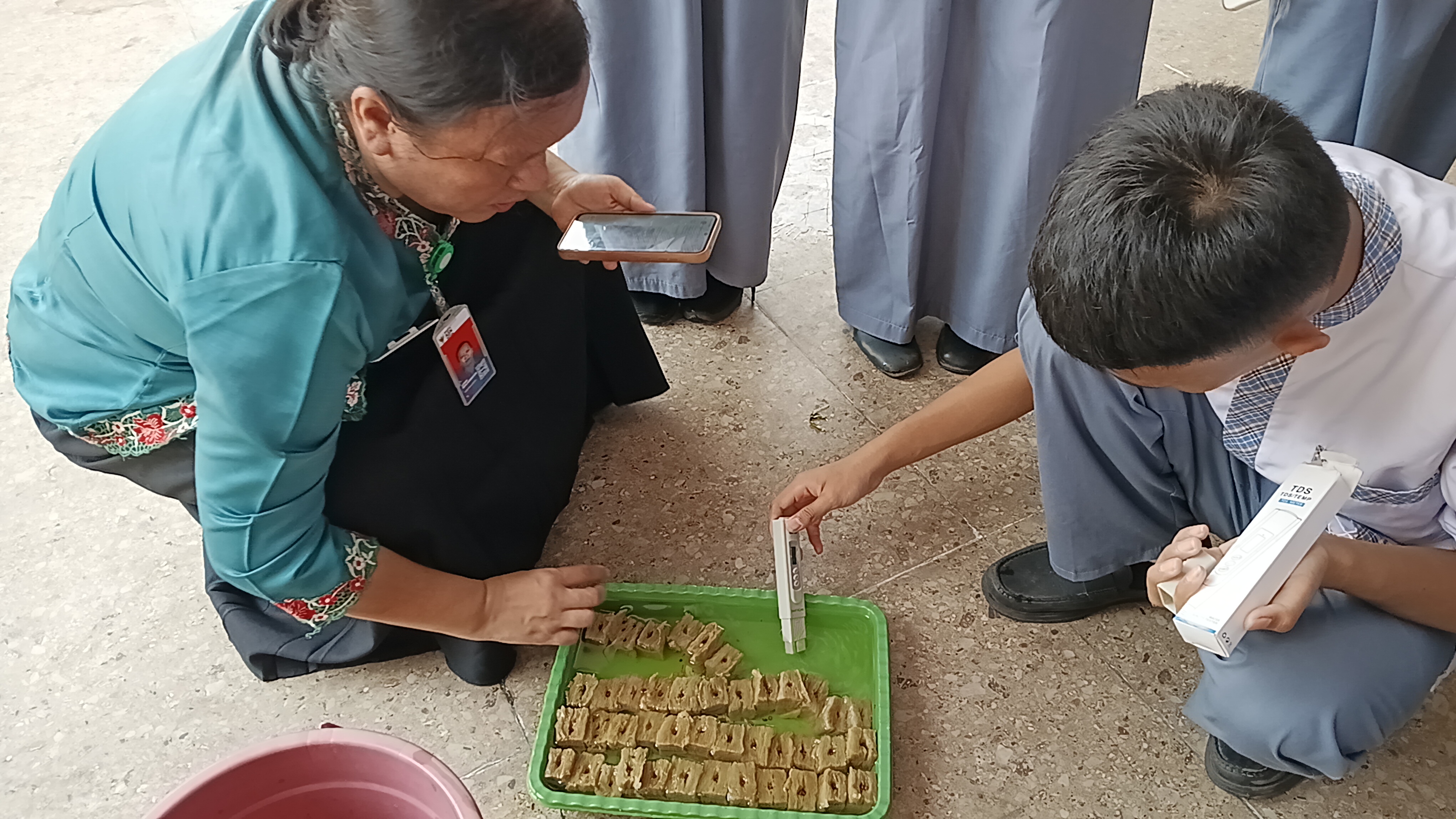 Lahan Urban Farming SMKN 41 Jakarta - Gambar 52