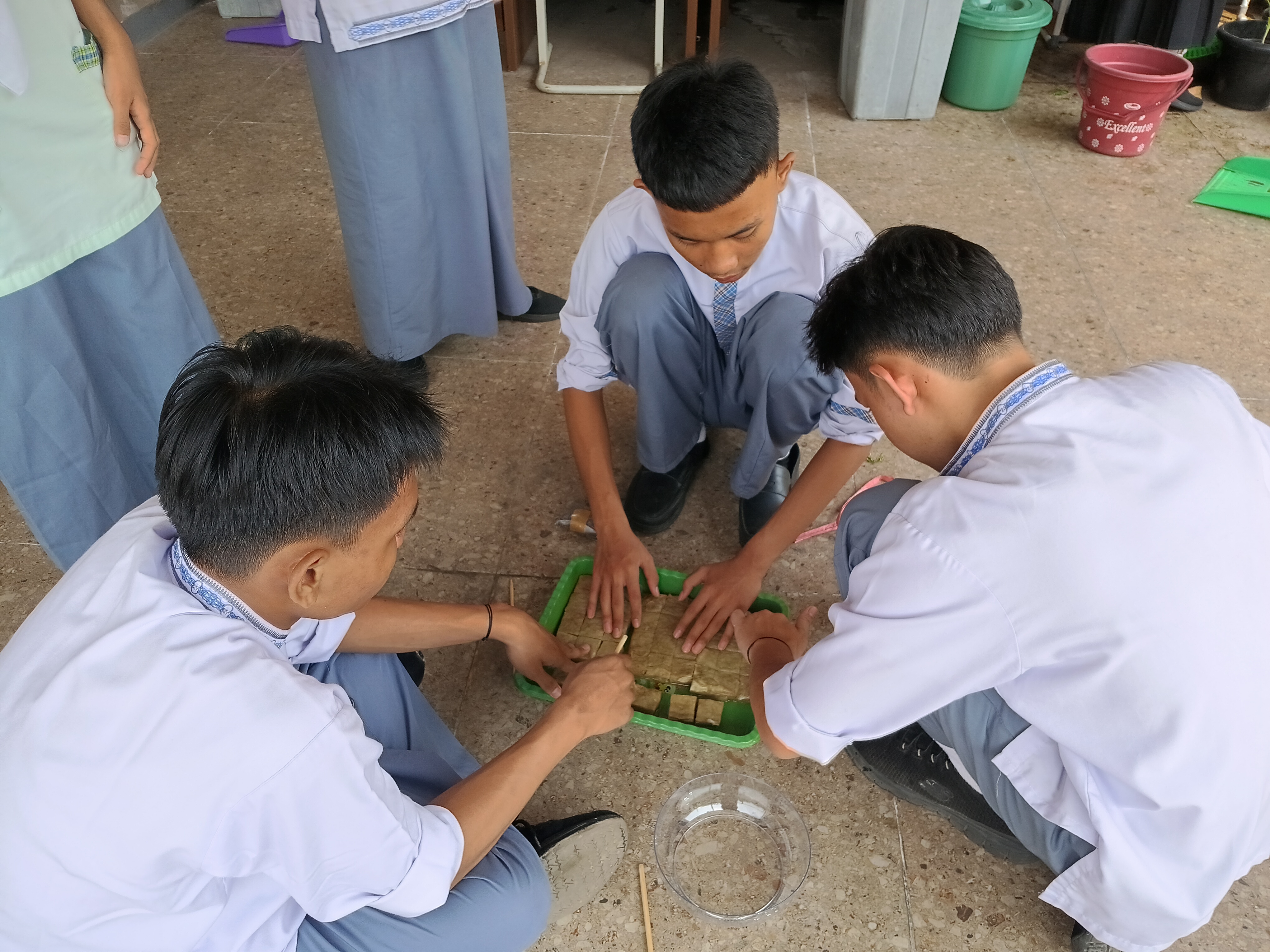 Lahan Urban Farming SMKN 41 Jakarta - Gambar 55