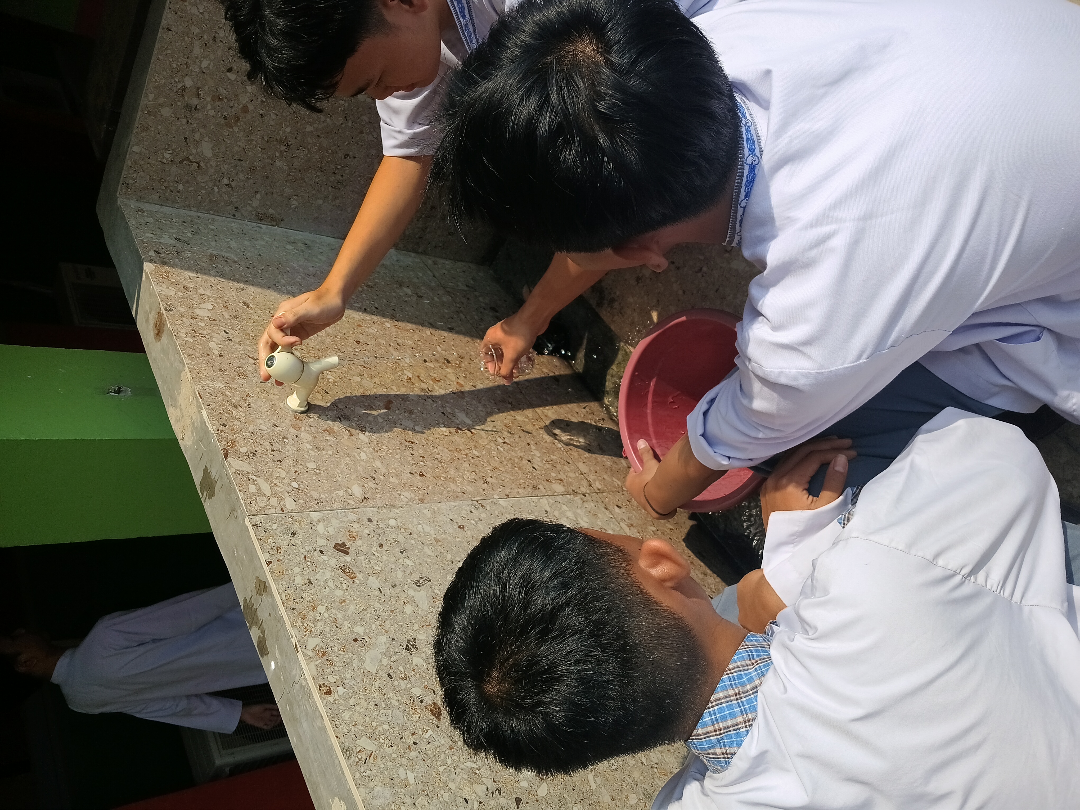Lahan Urban Farming SMKN 41 Jakarta - Gambar 57