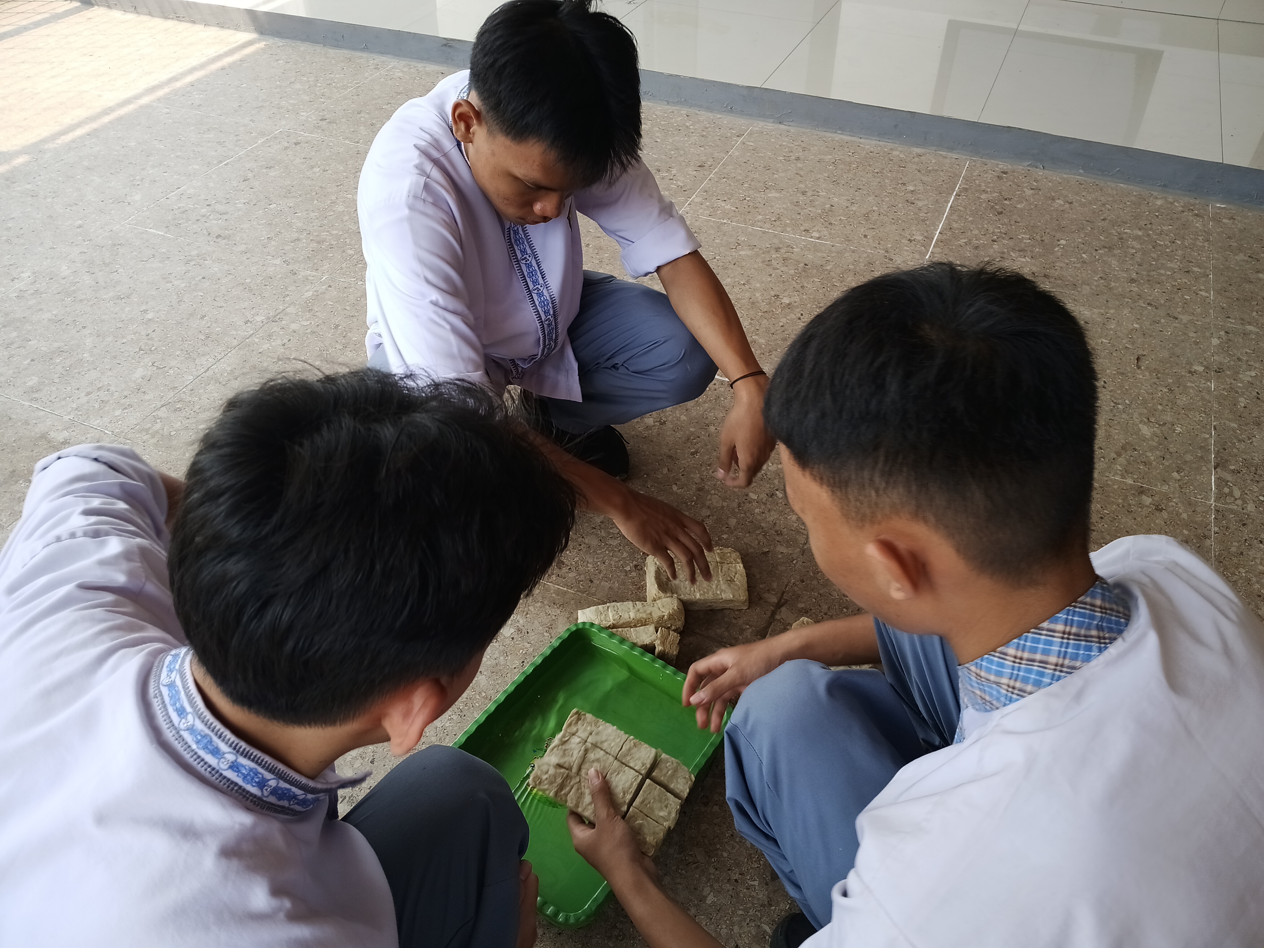 Lahan Urban Farming SMKN 41 Jakarta - Gambar 56