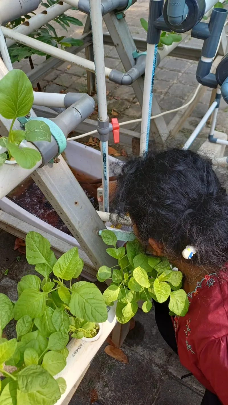 Lahan Urban Farming SMKN 59 Jakarta - Gambar 196