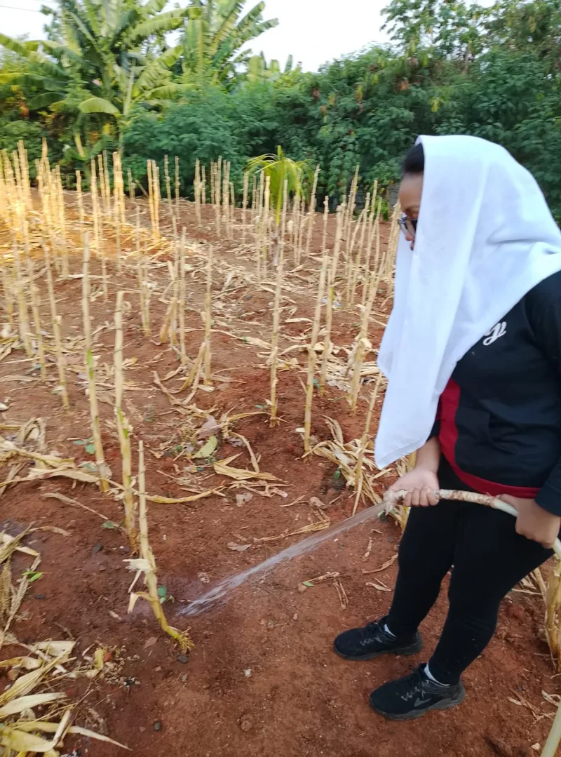 KEBUN SMKN 74 JAGAKARSA JAKARTA SELATAN - Gambar 254