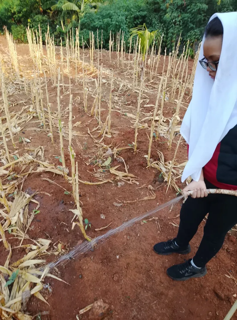 KEBUN SMKN 74 JAGAKARSA JAKARTA SELATAN - Gambar 253
