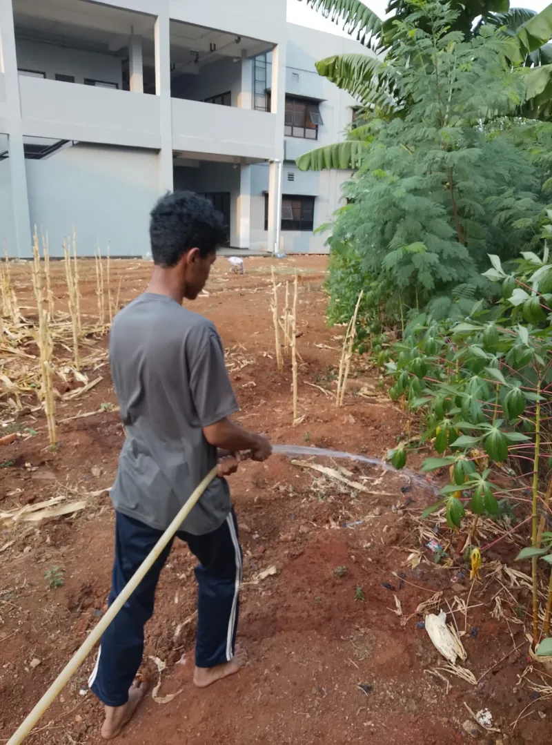 KEBUN SMKN 74 JAGAKARSA JAKARTA SELATAN - Gambar 250