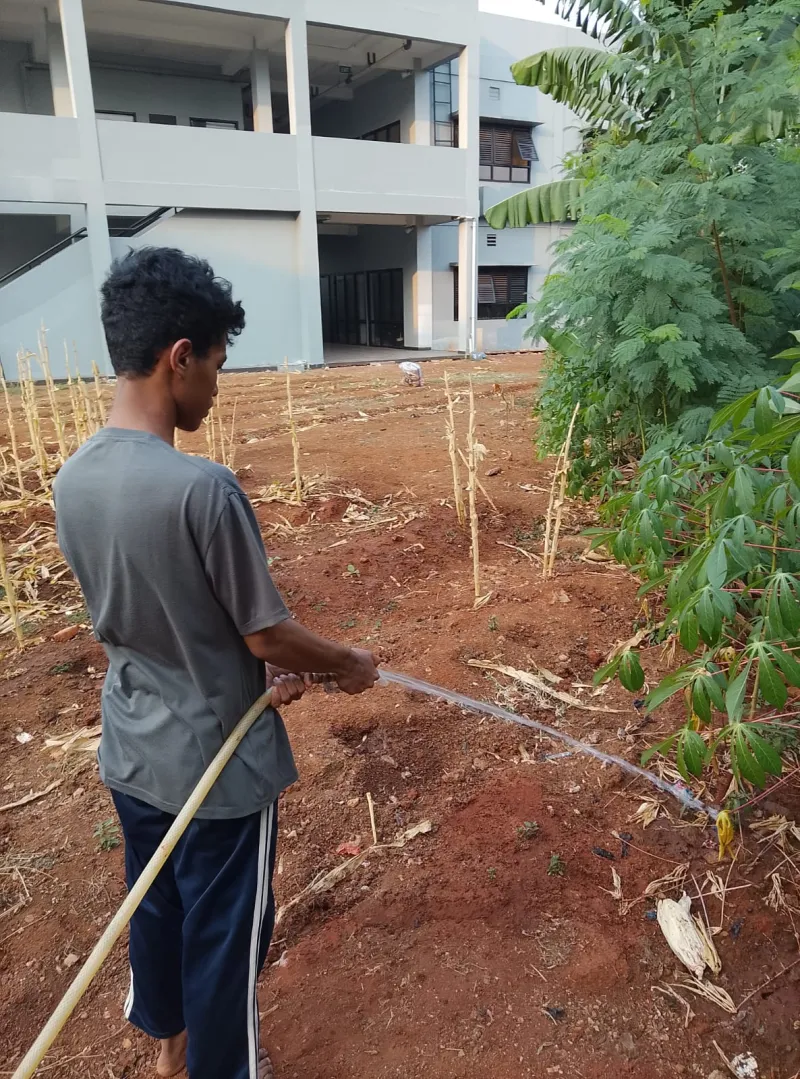 KEBUN SMKN 74 JAGAKARSA JAKARTA SELATAN - Gambar 252