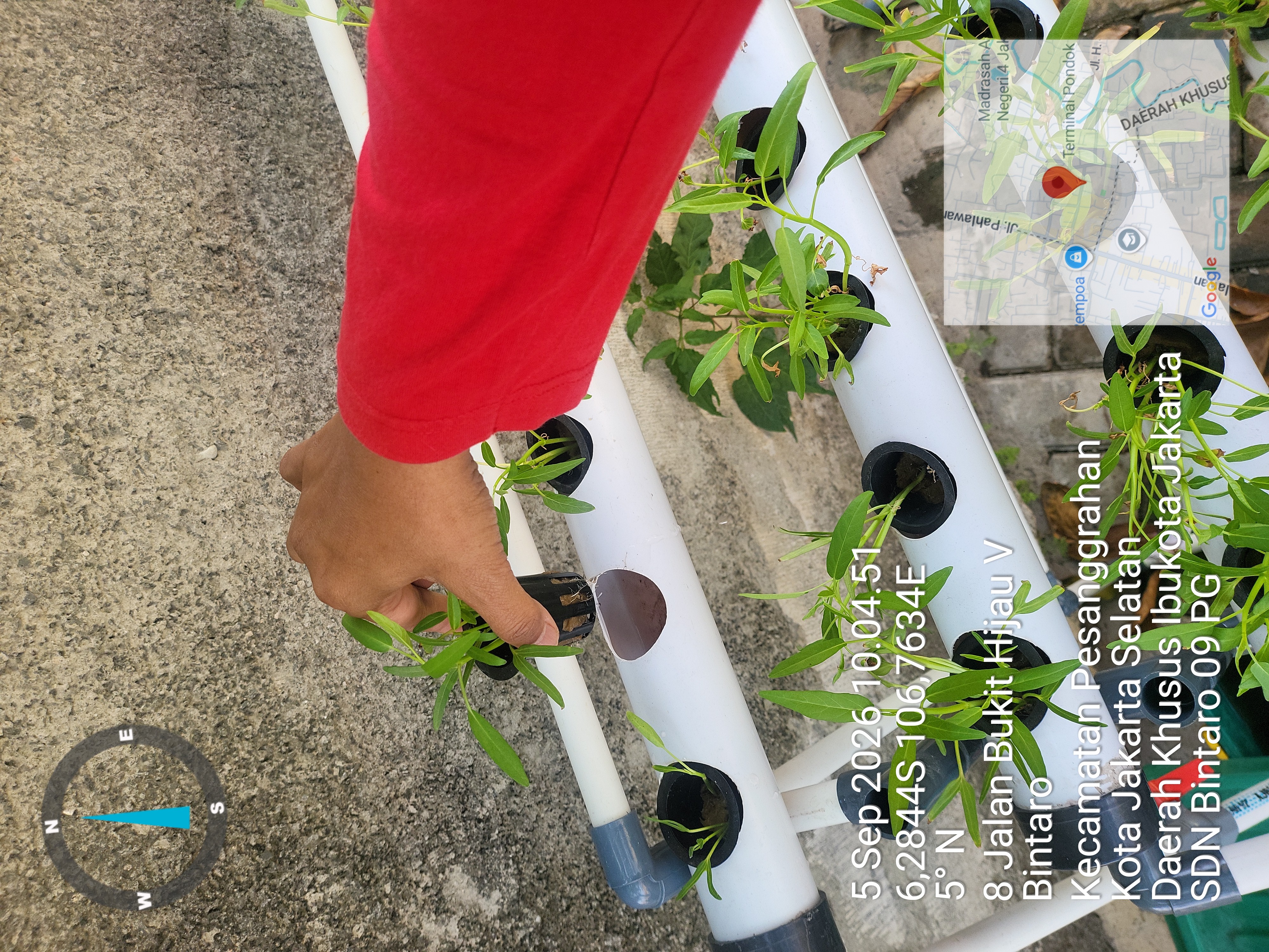 Lahan Urban Farming SDN Bintaro 09 - Gambar 137