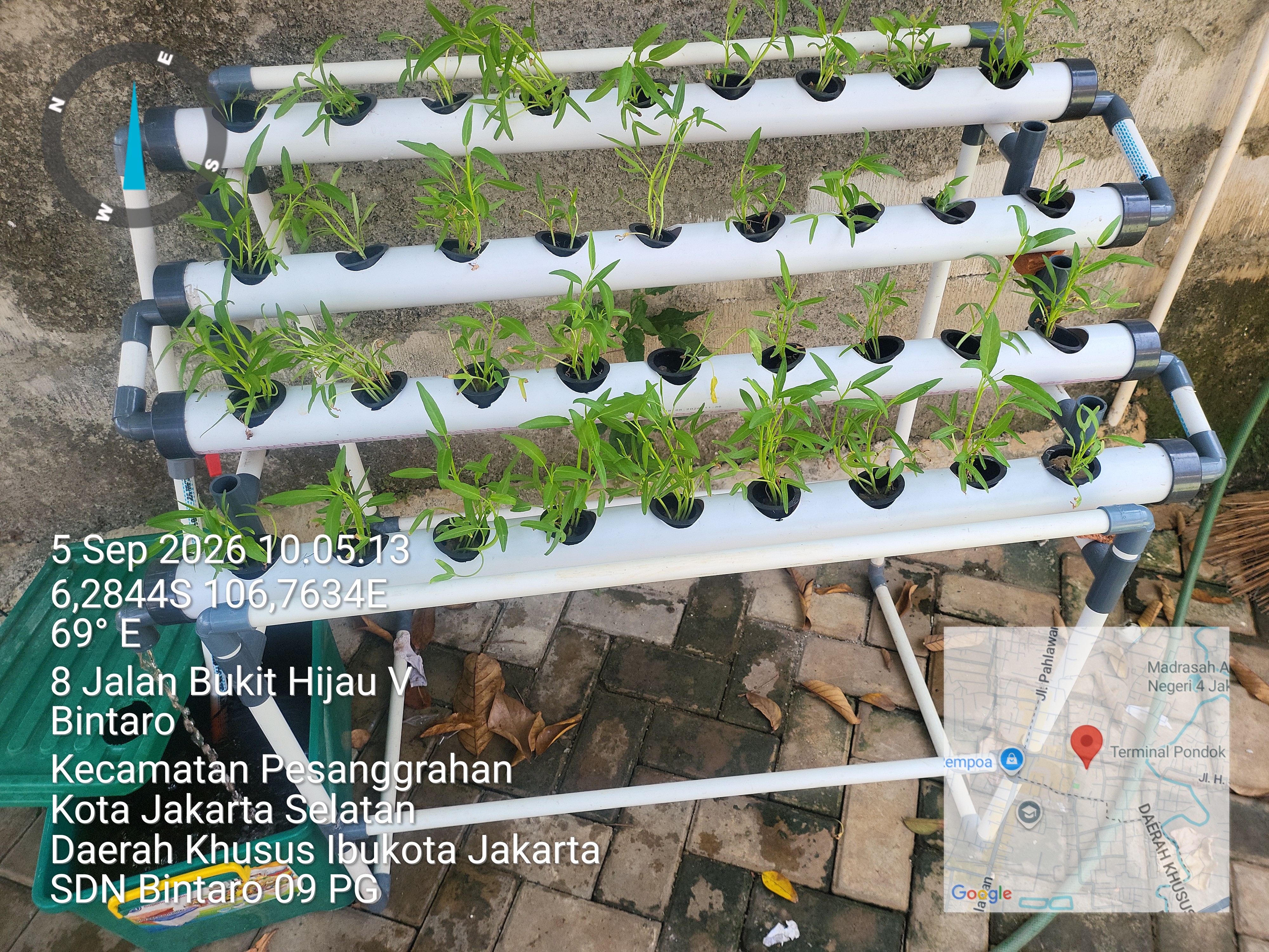 Lahan Urban Farming SDN Bintaro 09 - Gambar 139
