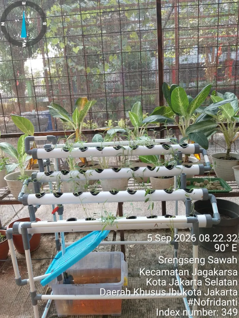 Lahan Urban Farming SMAN 109 Jakarta - Gambar 189