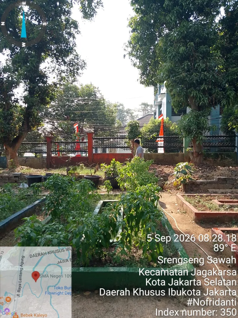 Lahan Urban Farming SMAN 109 Jakarta - Gambar 190