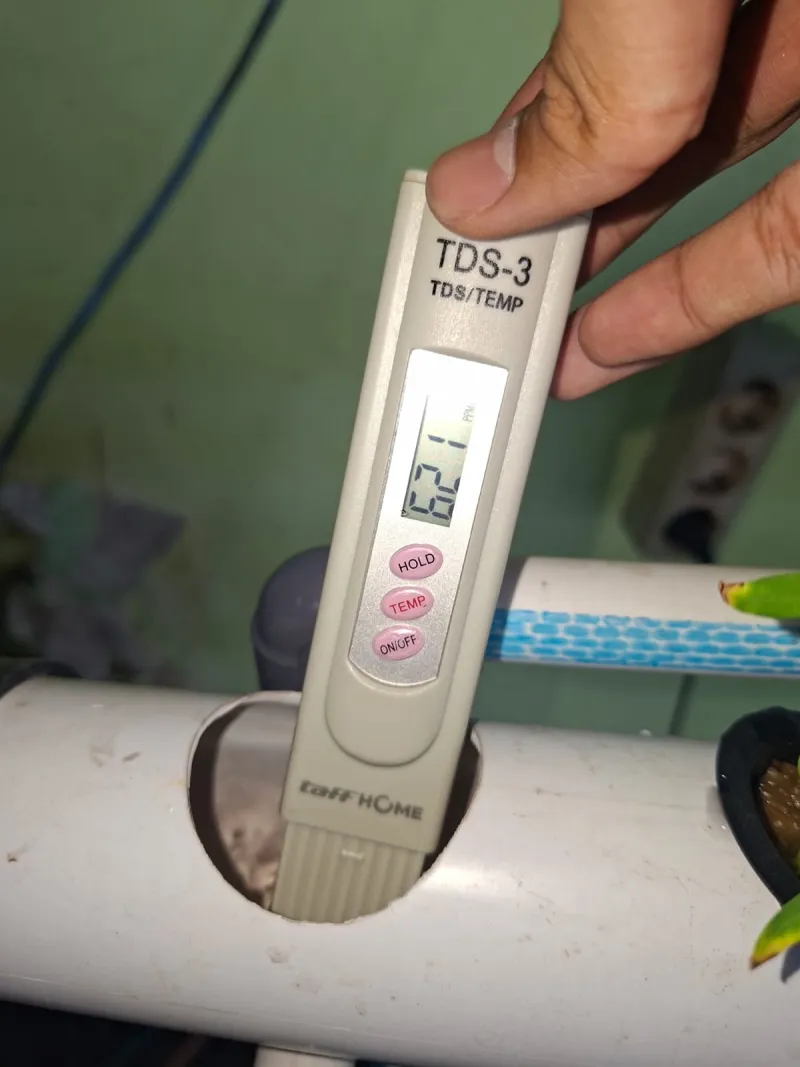 Lahan Urban Farming SMAN 63 Jakarta - Gambar 66