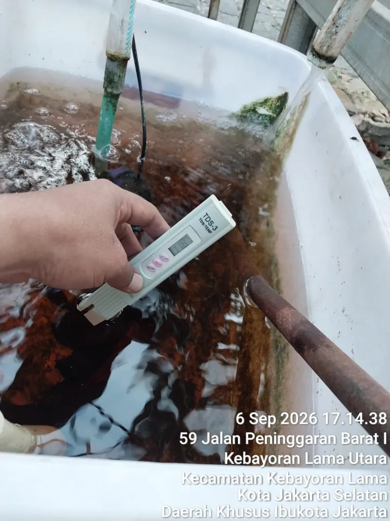 Lahan Urban Farming SMKN 59 Jakarta - Gambar 190