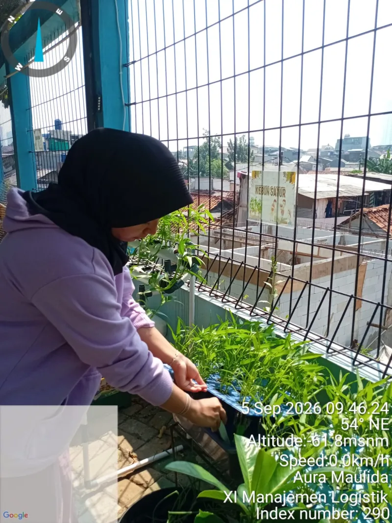 Lahan Urban Farming SMKN 43 Jakarta - Gambar 160