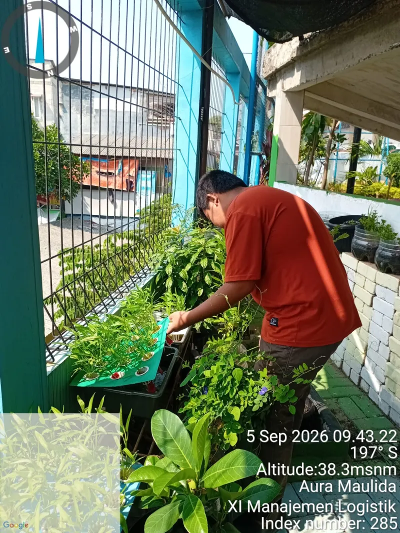 Lahan Urban Farming SMKN 43 Jakarta - Gambar 161