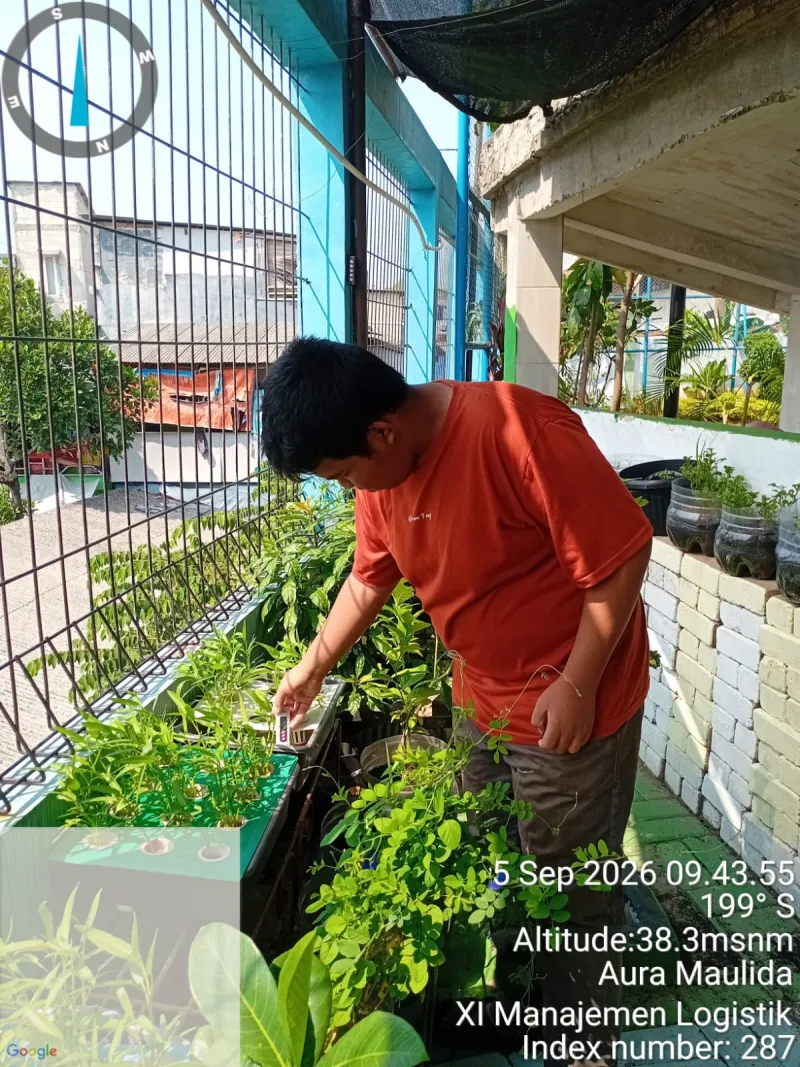 Lahan Urban Farming SMKN 43 Jakarta - Gambar 162