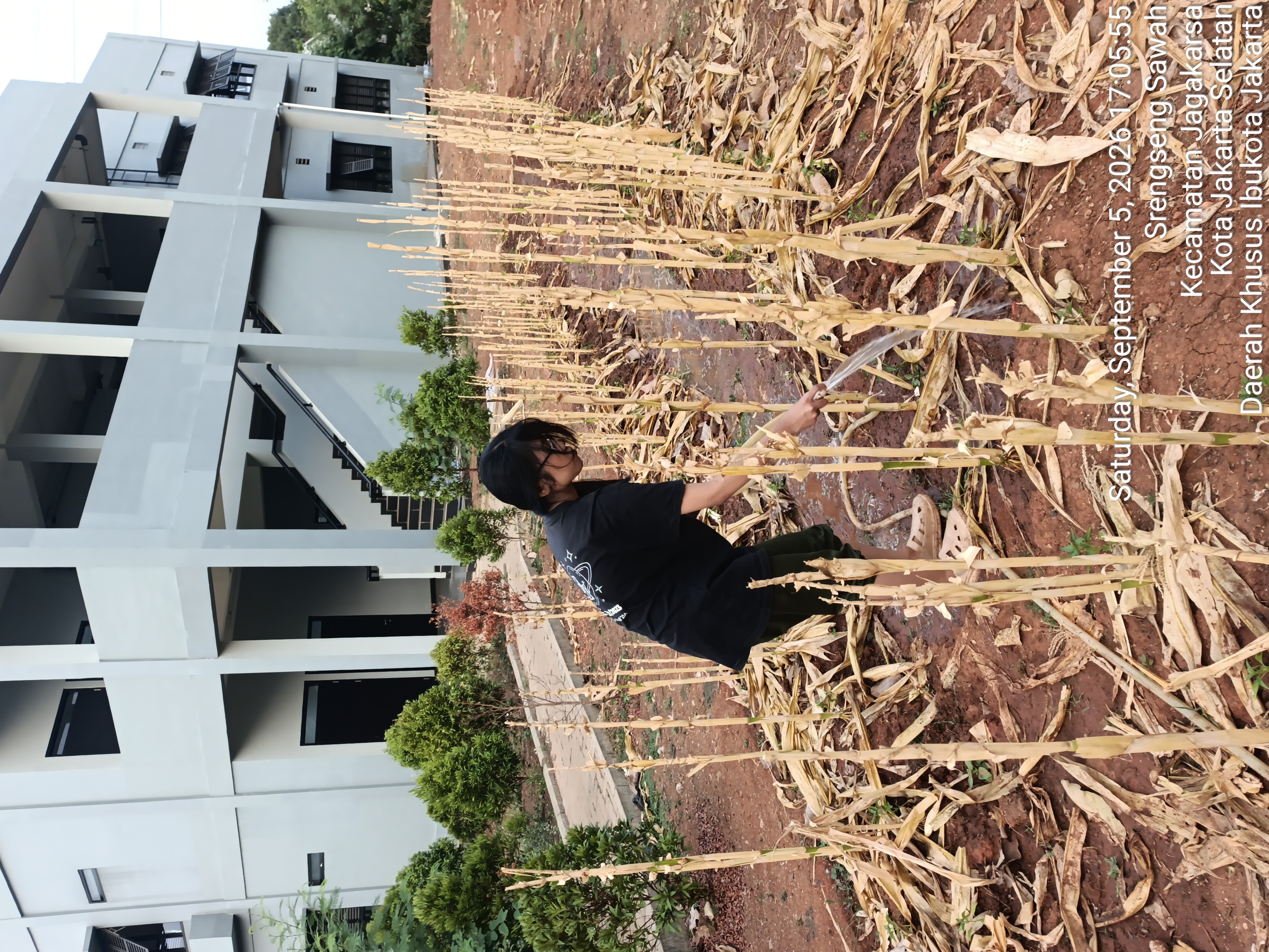KEBUN SMKN 74 JAGAKARSA JAKARTA SELATAN - Gambar 245
