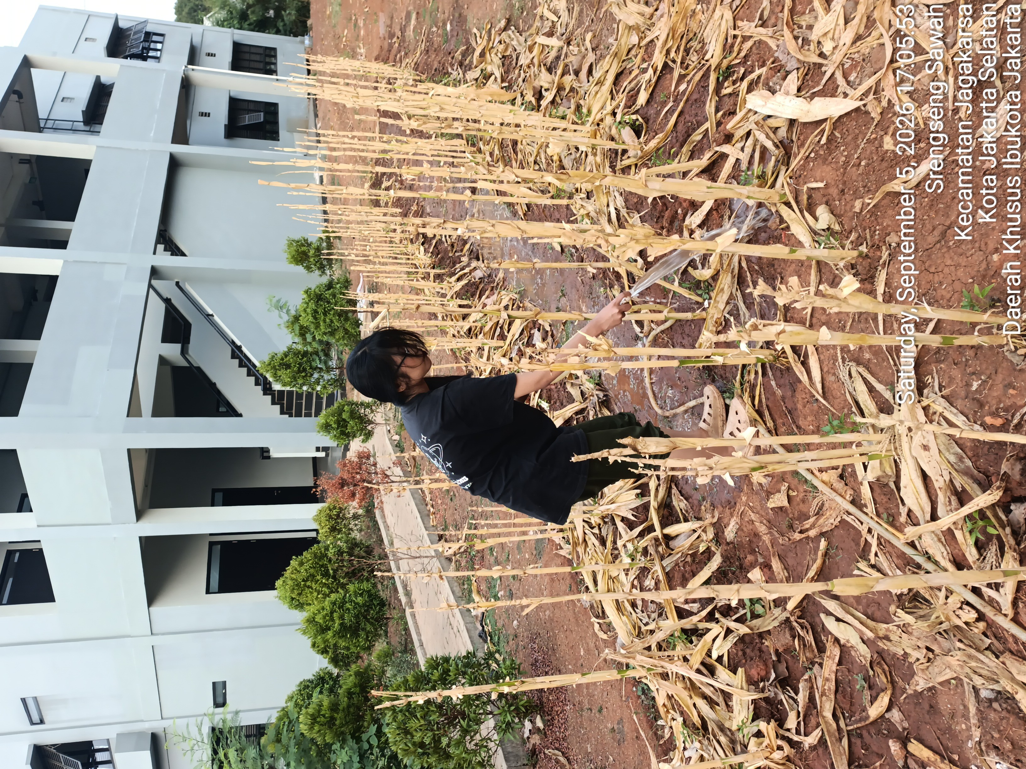 KEBUN SMKN 74 JAGAKARSA JAKARTA SELATAN - Gambar 246