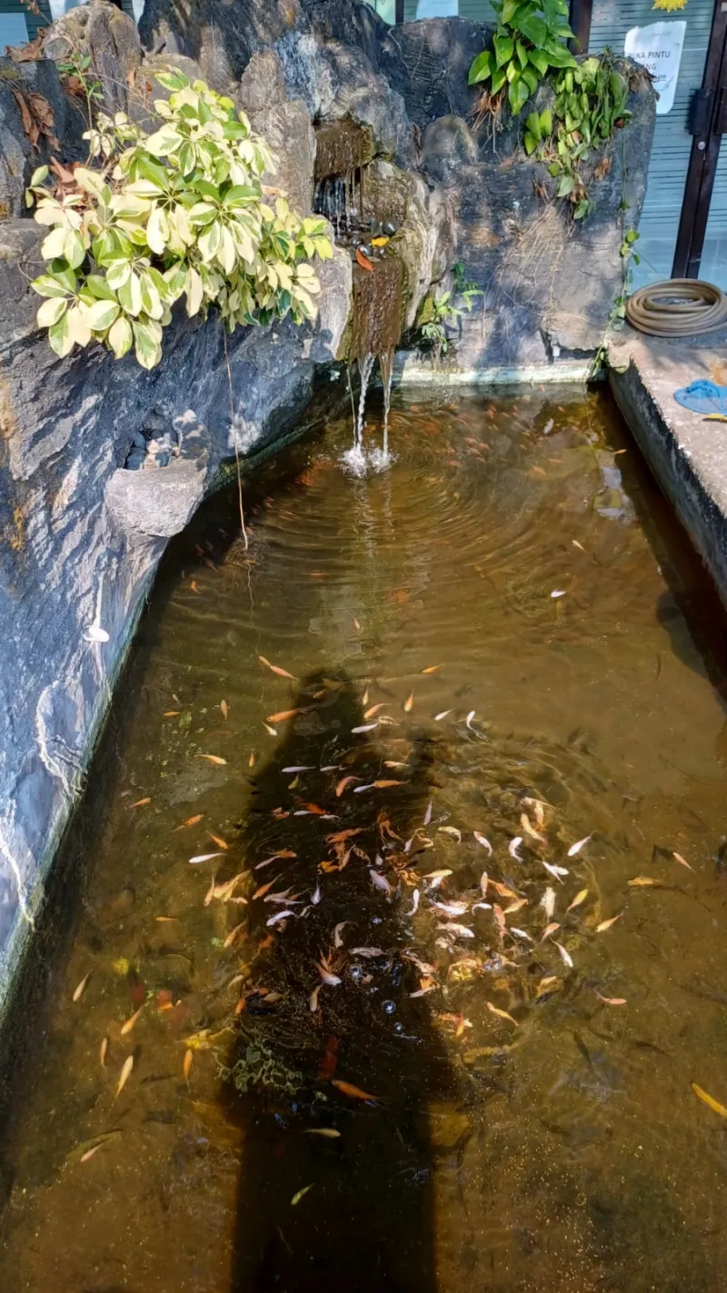 Lahan Urban Farming SMKN 59 Jakarta - Gambar 187