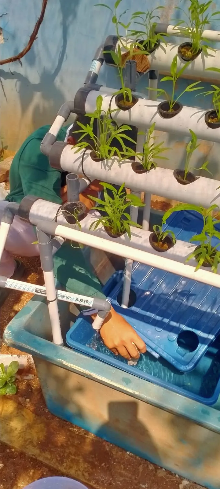 Lahan Urban Farming SLBN 01 Lebak Bulus - Gambar 56