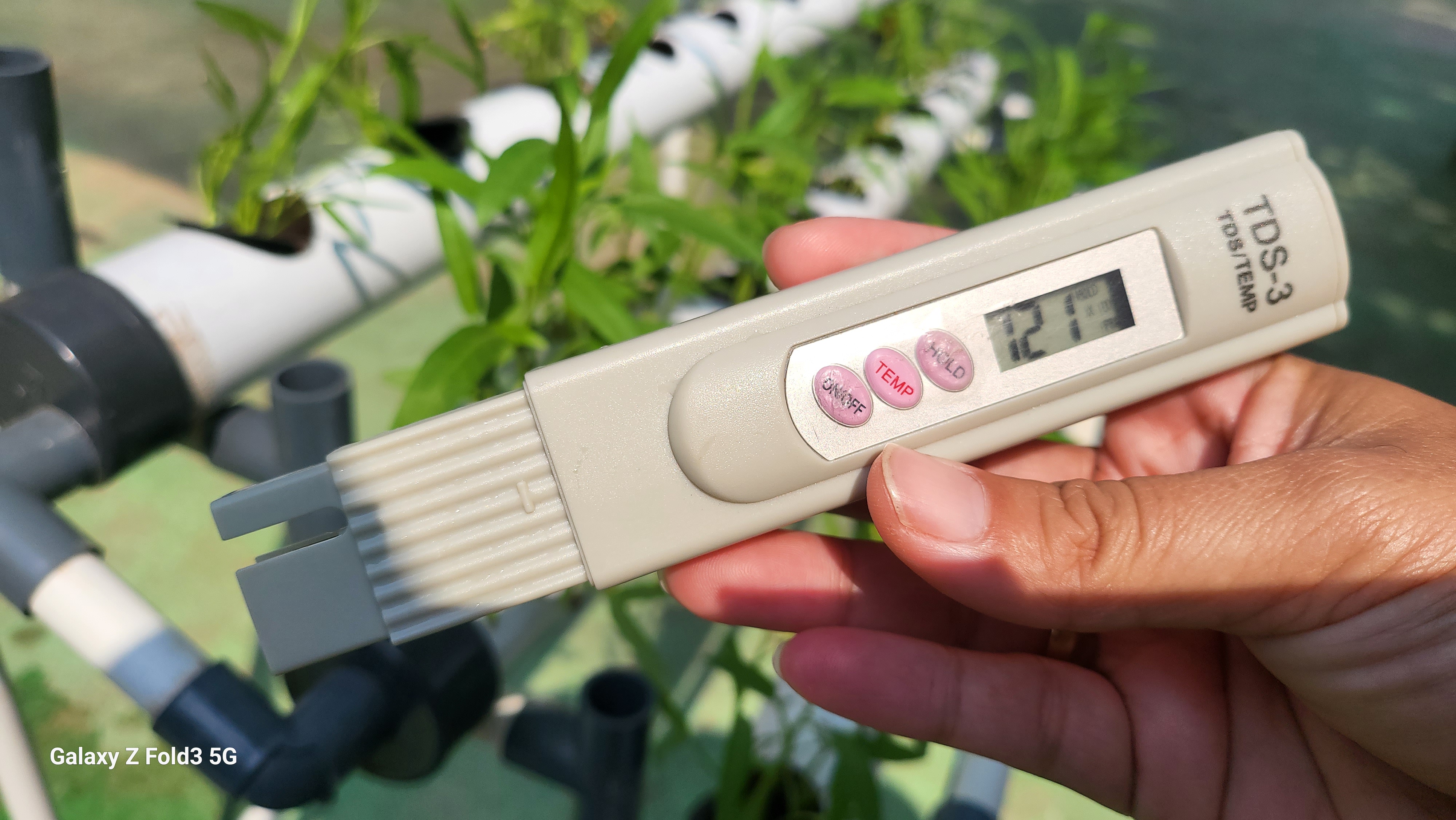 Lahan Urban Farming SDN Bintaro 09 - Gambar 131
