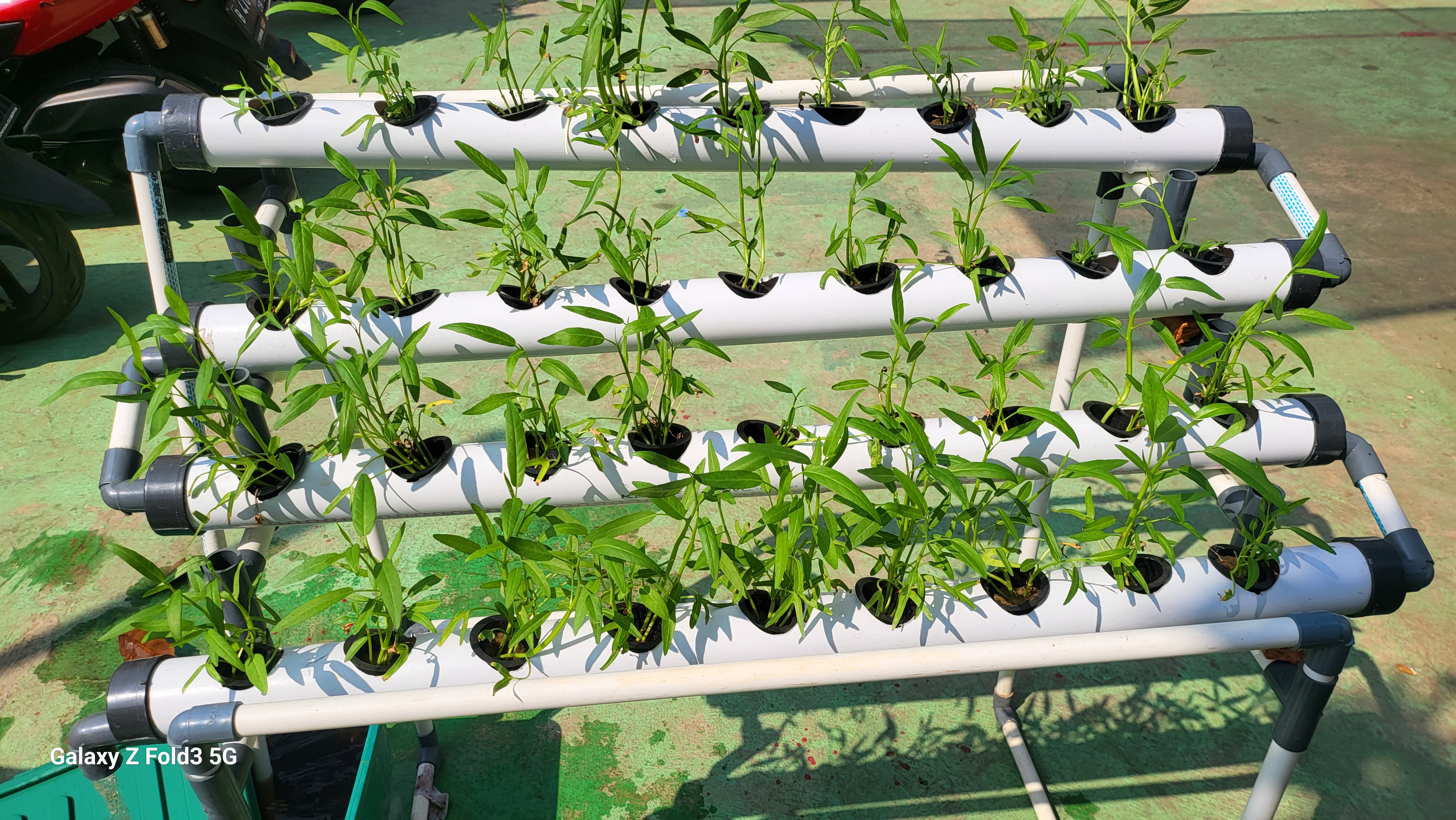 Lahan Urban Farming SDN Bintaro 09 - Gambar 132