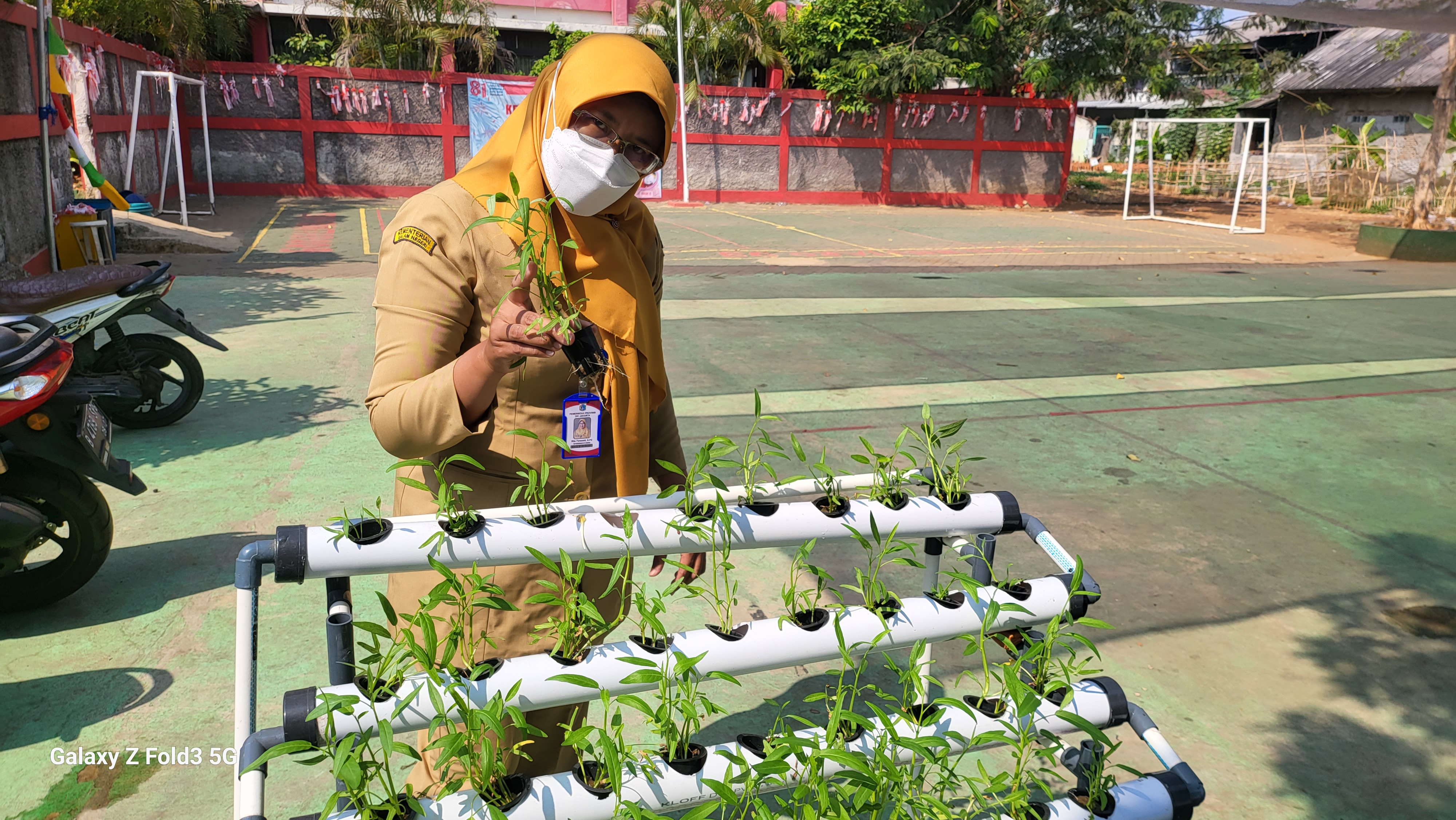 Lahan Urban Farming SDN Bintaro 09 - Gambar 133