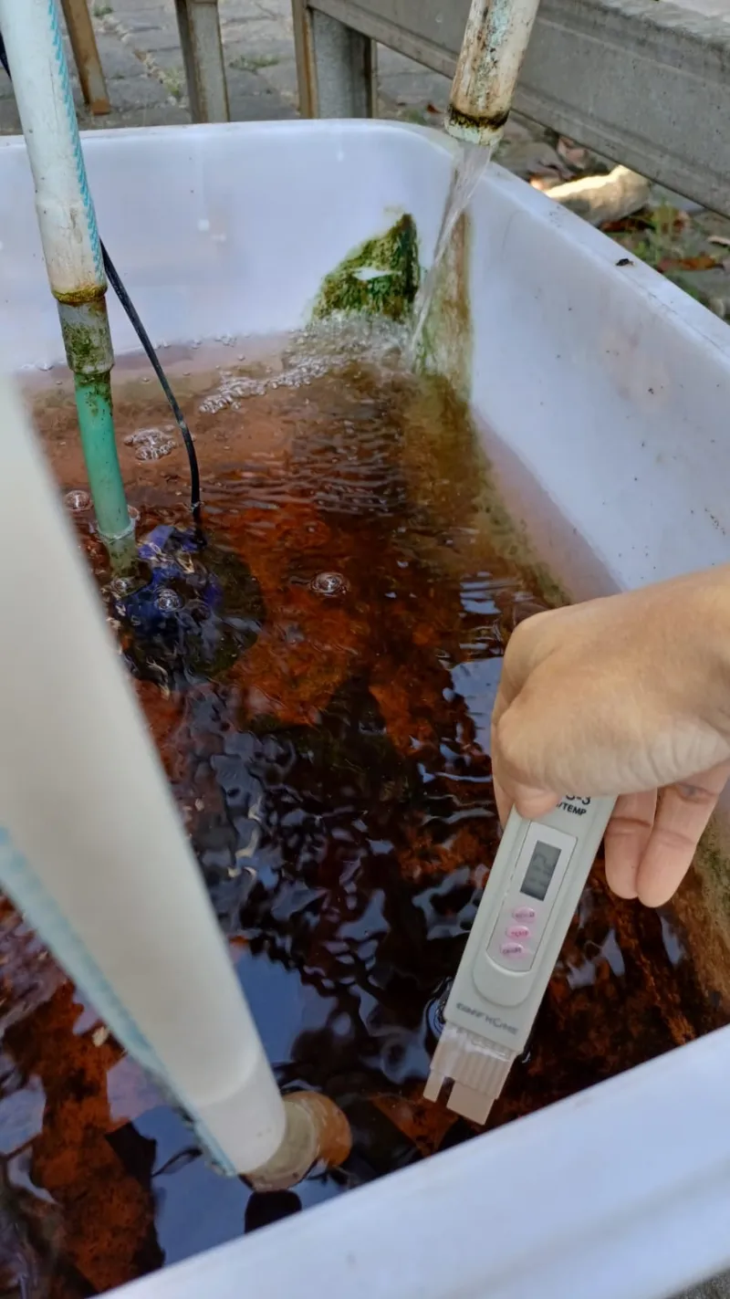 Lahan Urban Farming SMKN 59 Jakarta - Gambar 184