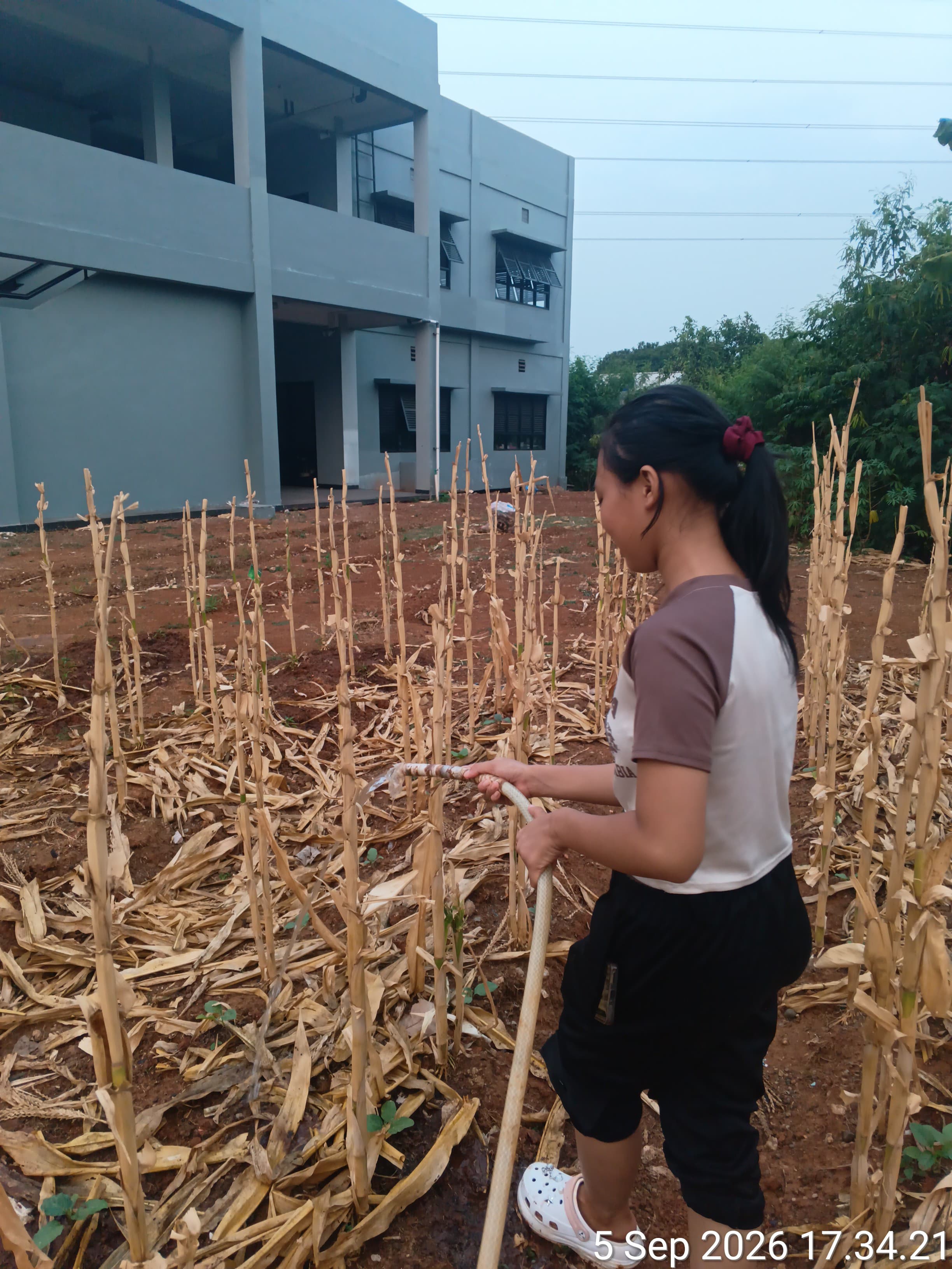 KEBUN SMKN 74 JAGAKARSA JAKARTA SELATAN - Gambar 236