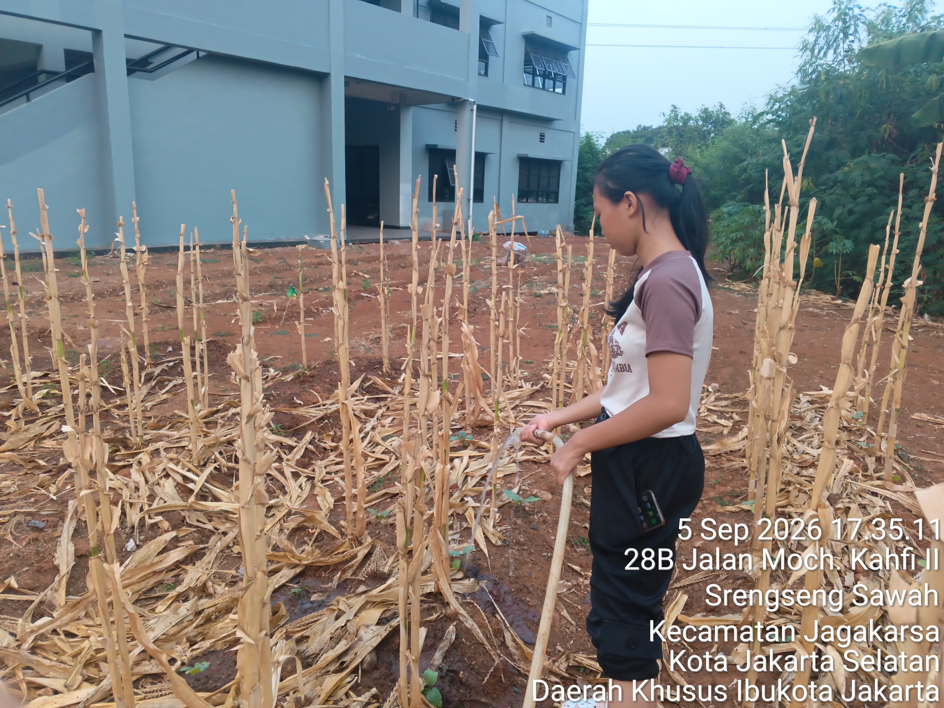 KEBUN SMKN 74 JAGAKARSA JAKARTA SELATAN - Gambar 235