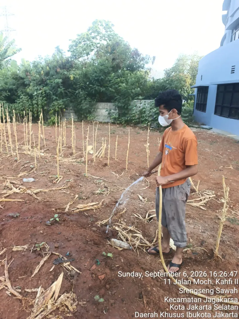 KEBUN SMKN 74 JAGAKARSA JAKARTA SELATAN - Gambar 229
