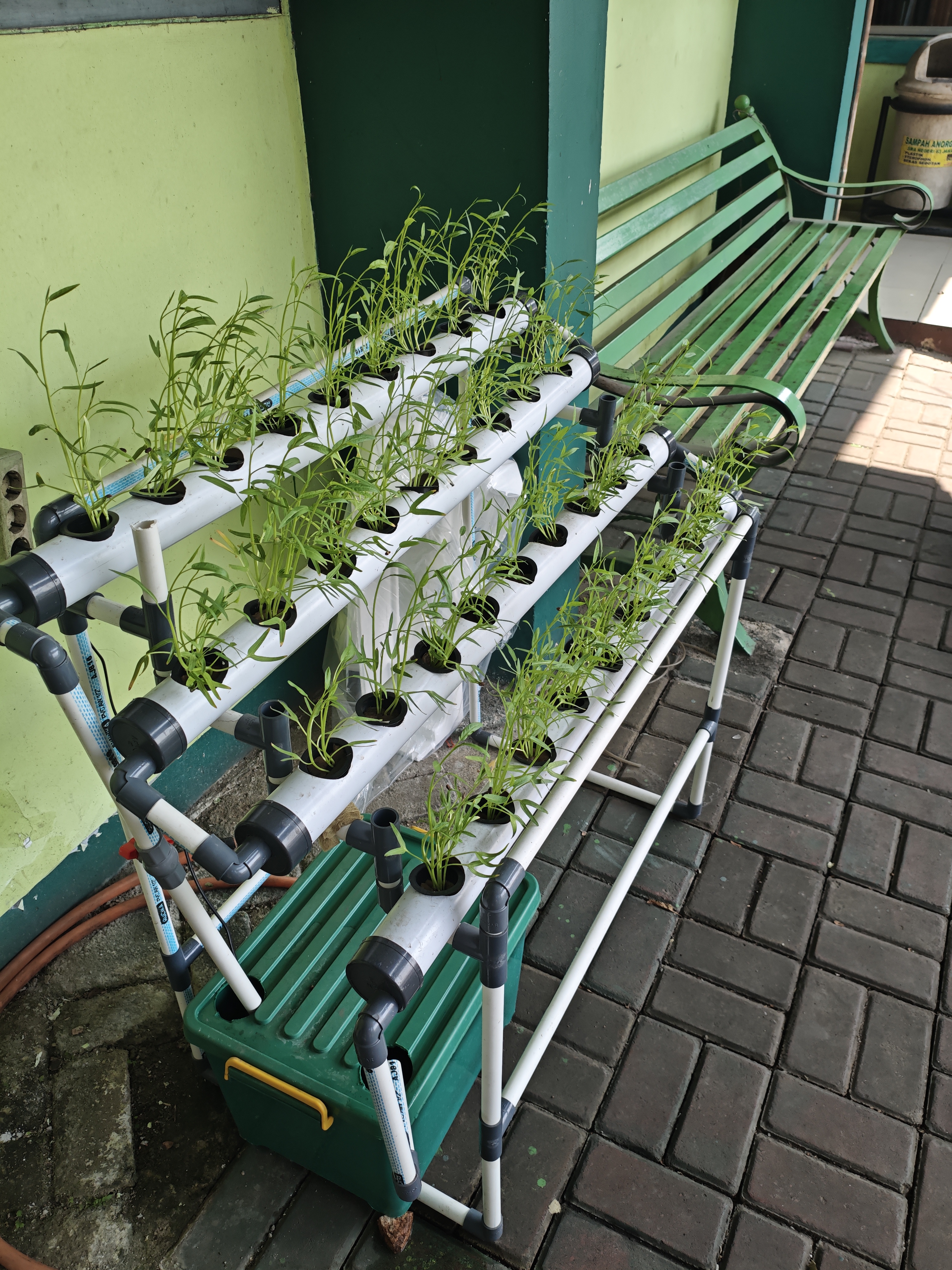 Lahan Urban Farming SMAN 63 Jakarta - Gambar 63
